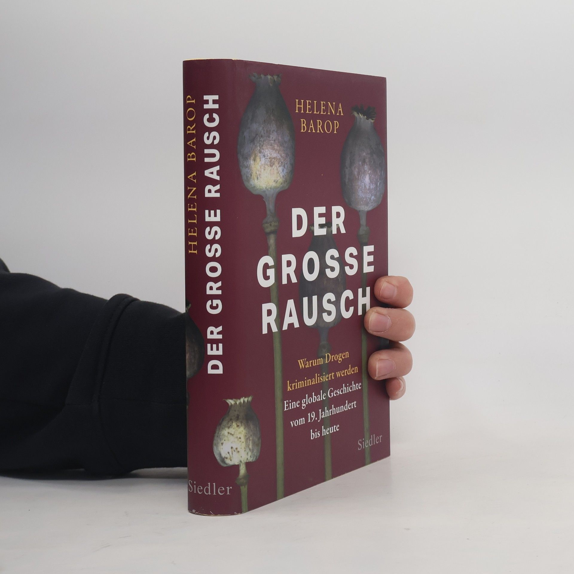 Helena Barop Der große Rausch