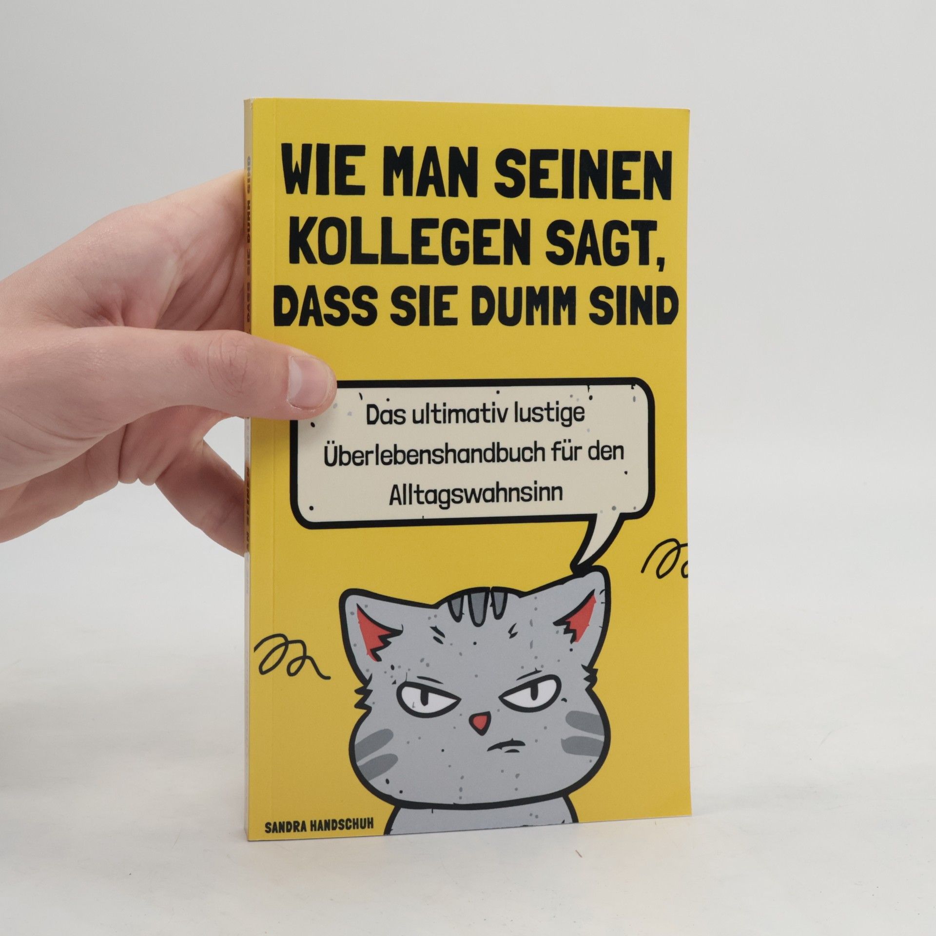 Sandra Handschuh Wie man seinen Kollegen sagt, dass sie dumm sind. Das ultimativ lustige Überlebenshandbuch für den Alltagswahnsinn