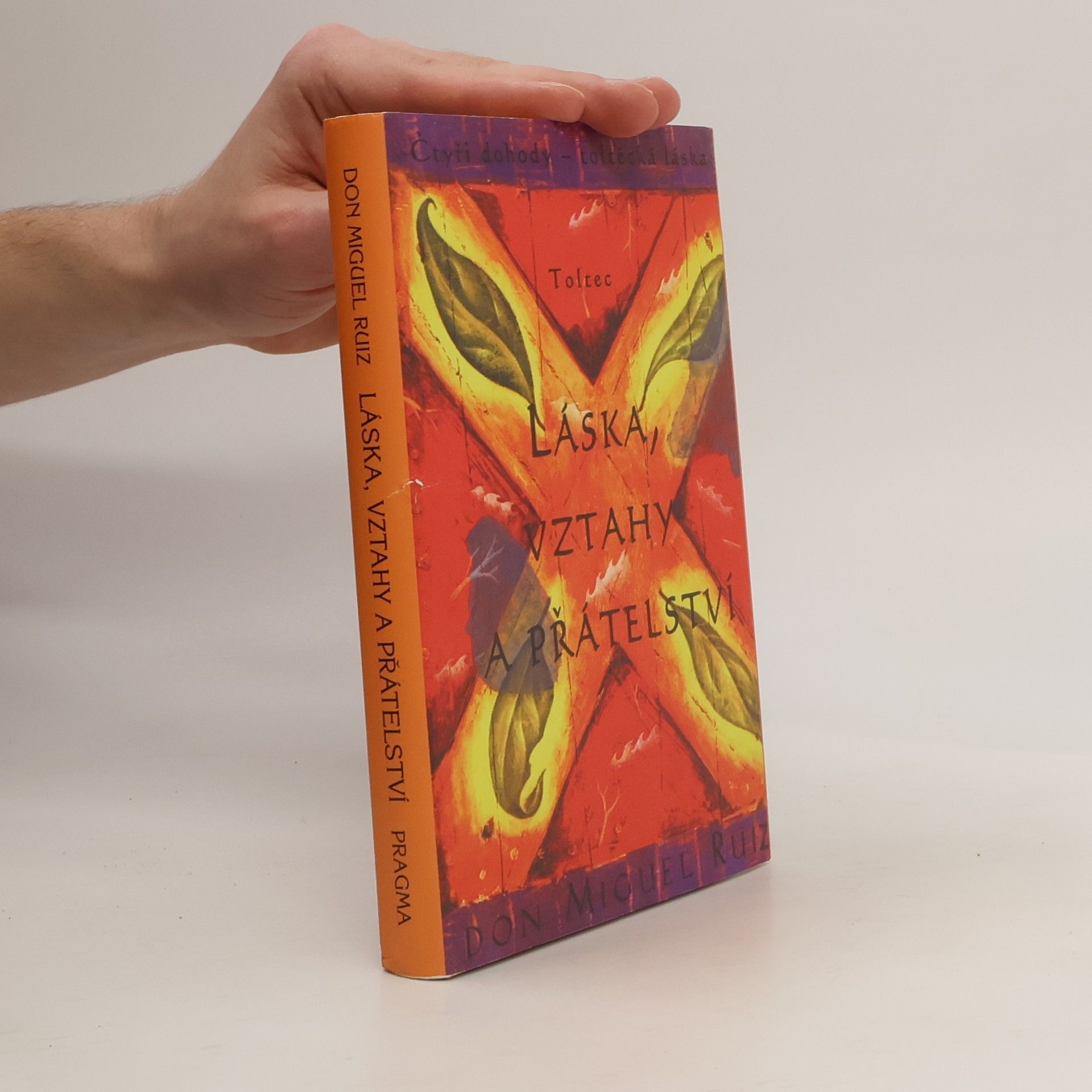 Don Miguel Ruiz Láska, vztahy a přátelství