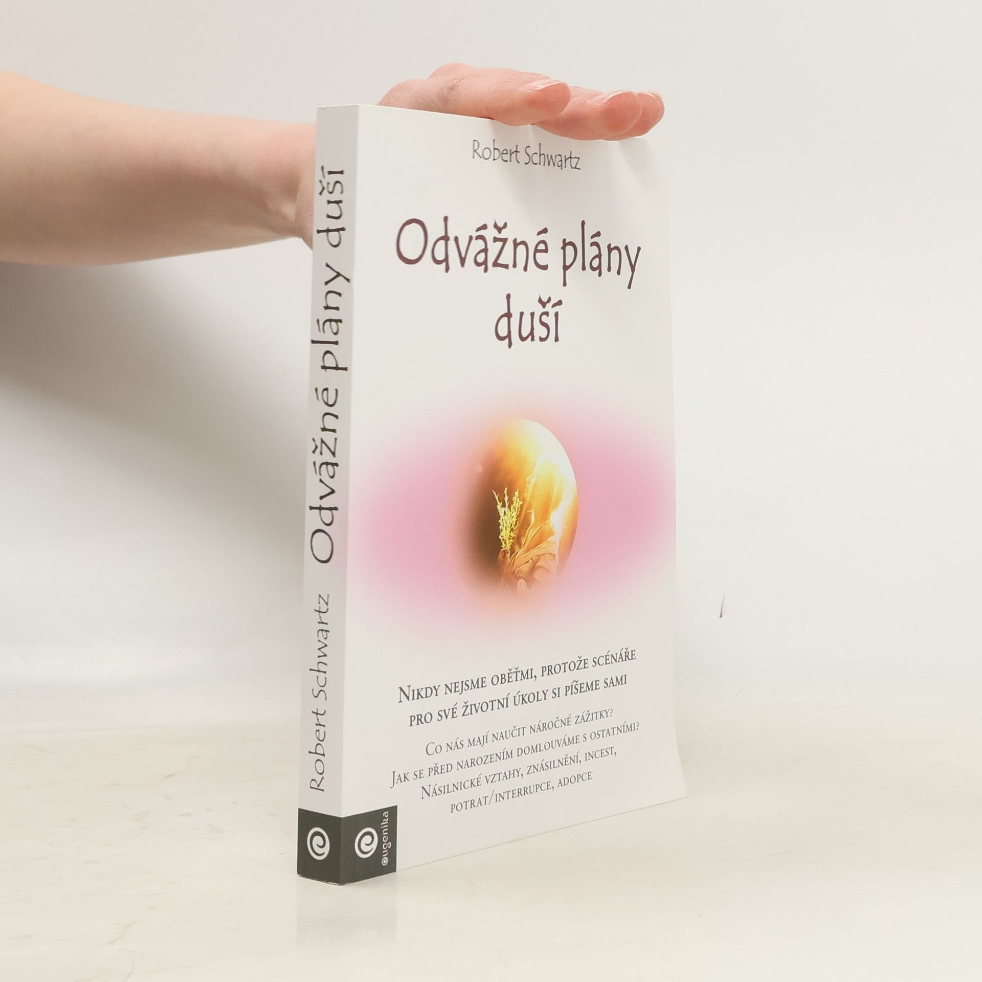 Robert Schwartz Odvážné plány duší