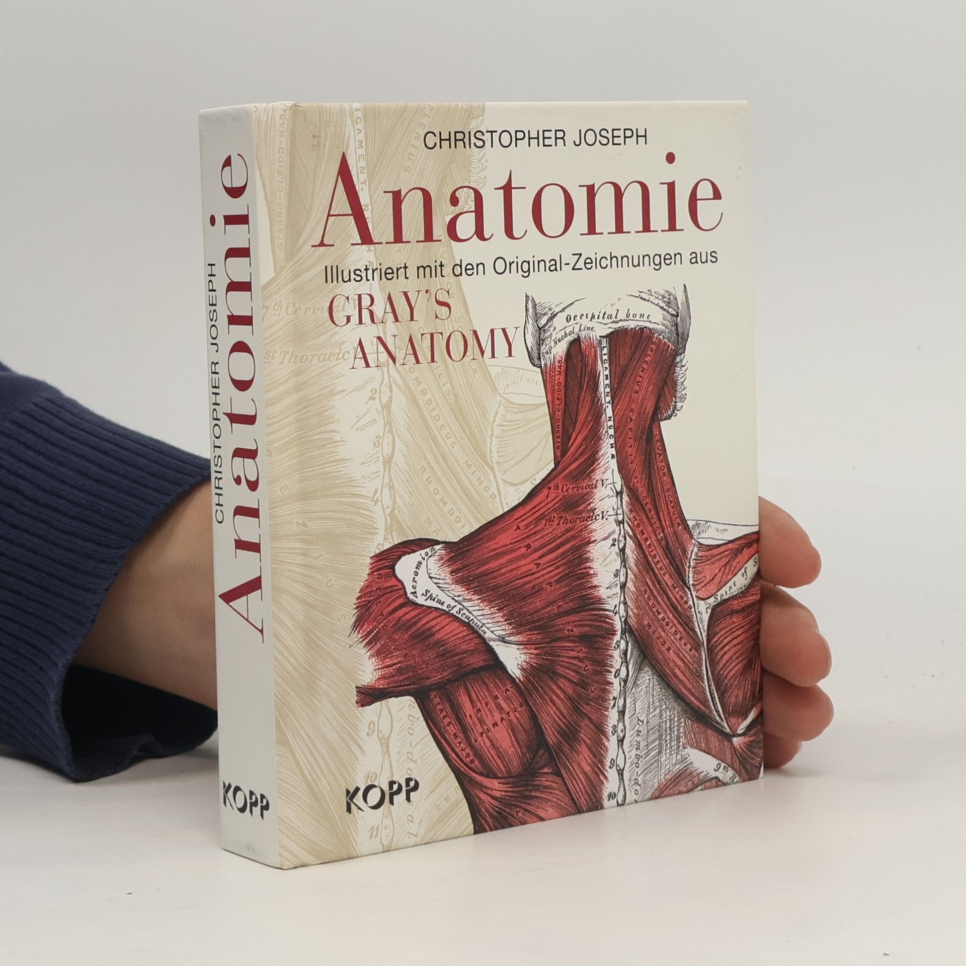 Christopher Joseph Anatomie. Ilustriert mit den Original-Zeichnungen aus Gray's Anatomy