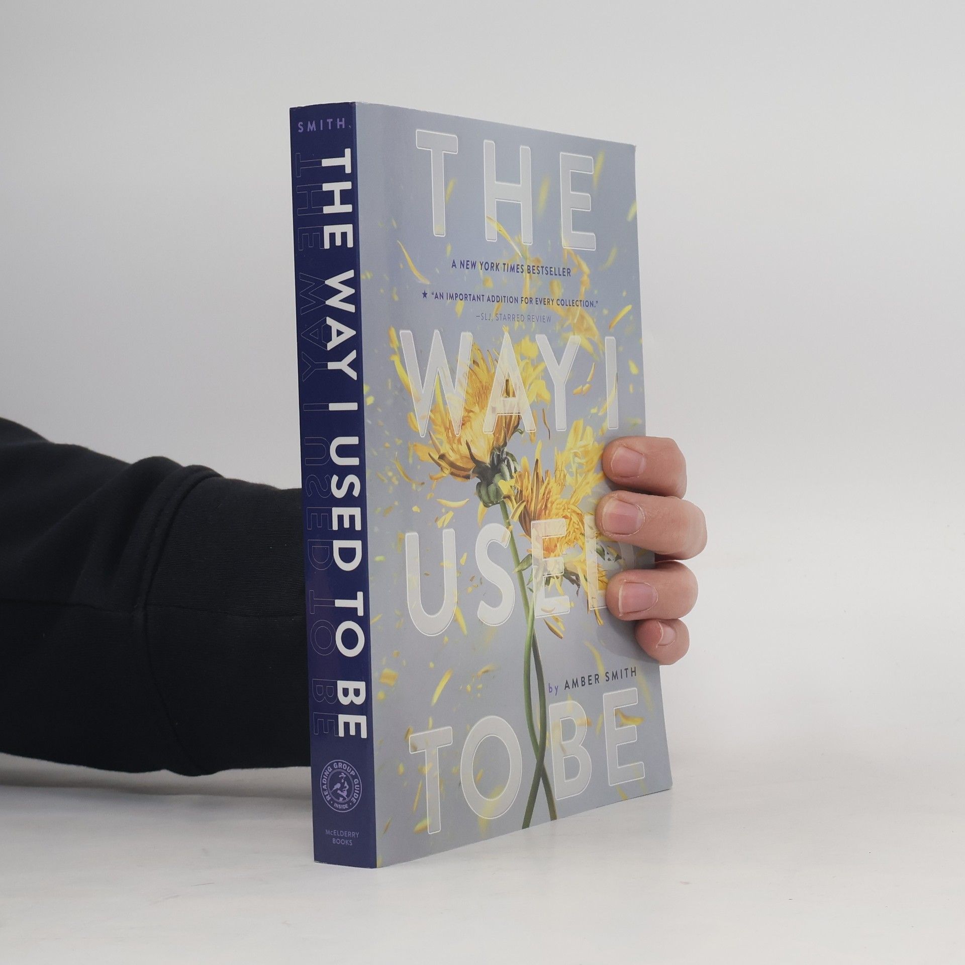 Amber Smith The Way I Used to Be