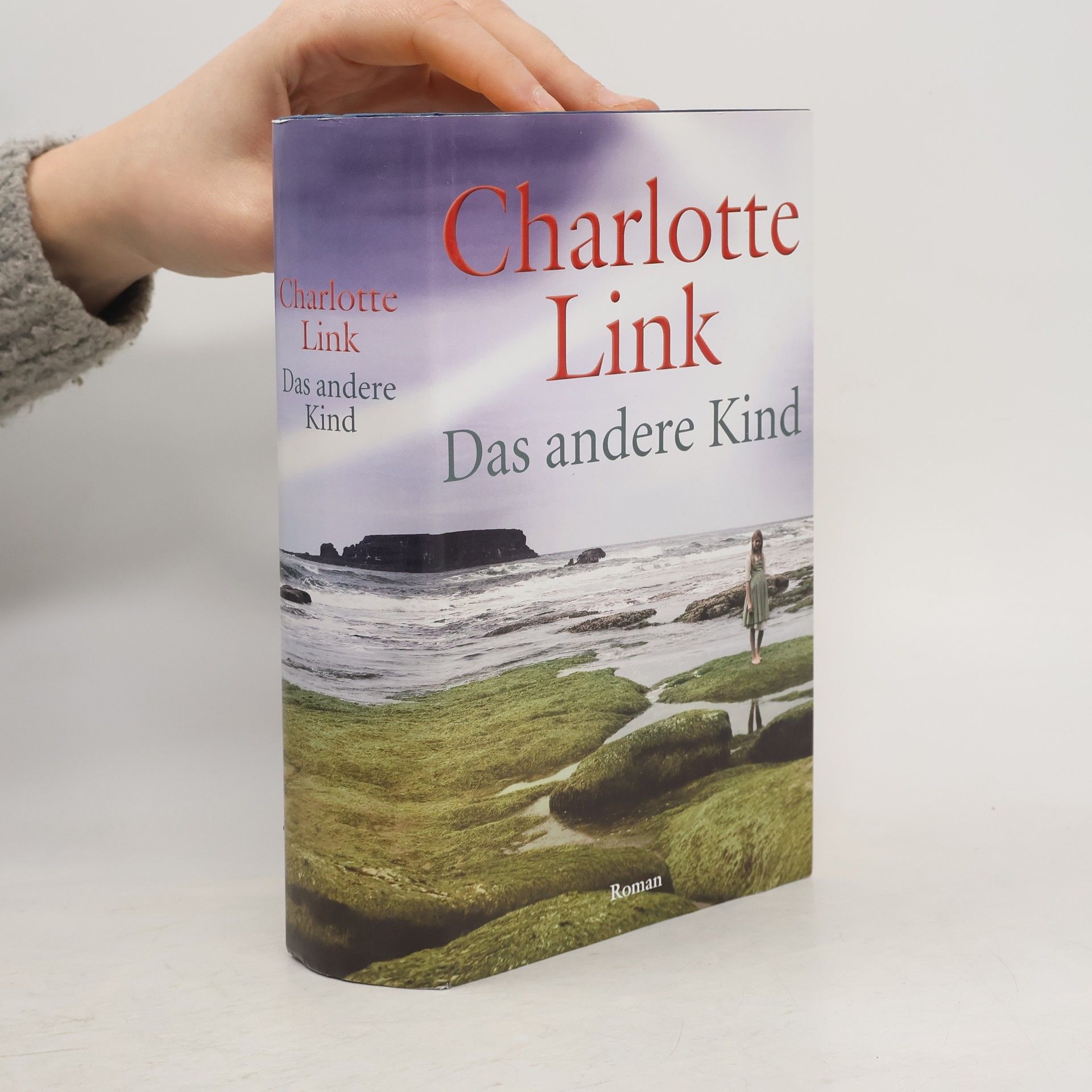 Charlotte Link Das andere Kind