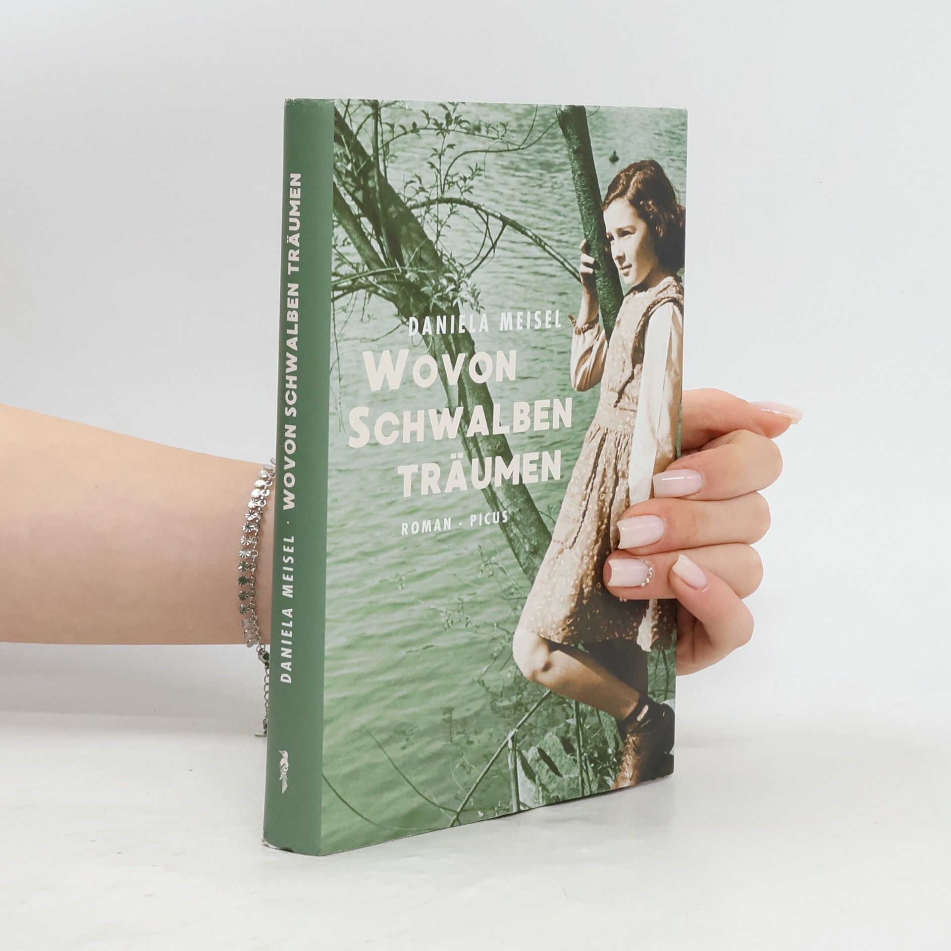 Daniela Meisel Wovon Schwalben träumen