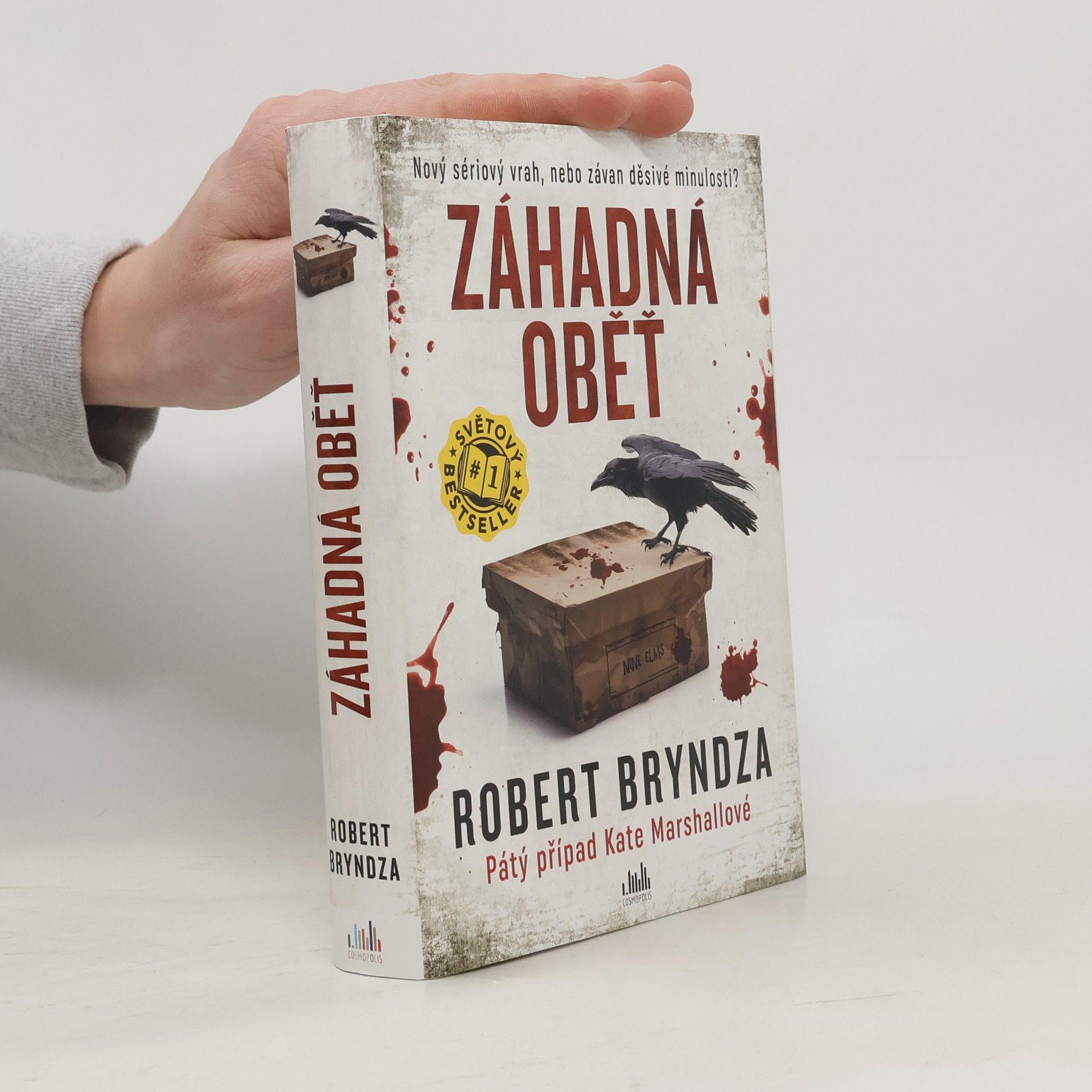 Robert Bryndza Záhadná oběť