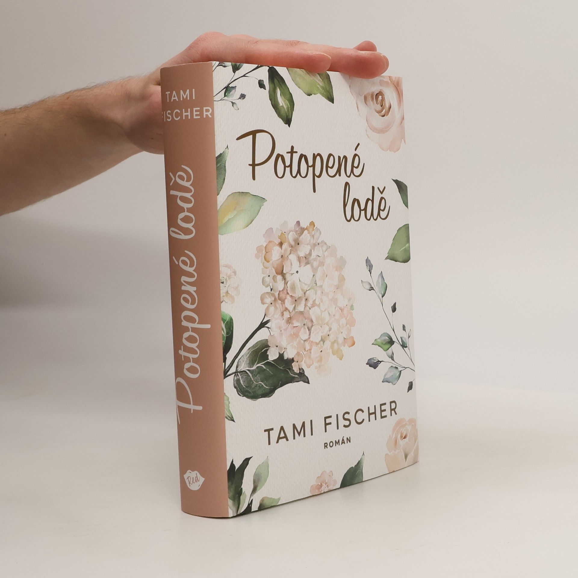 Tami Fischer Potopené lodě