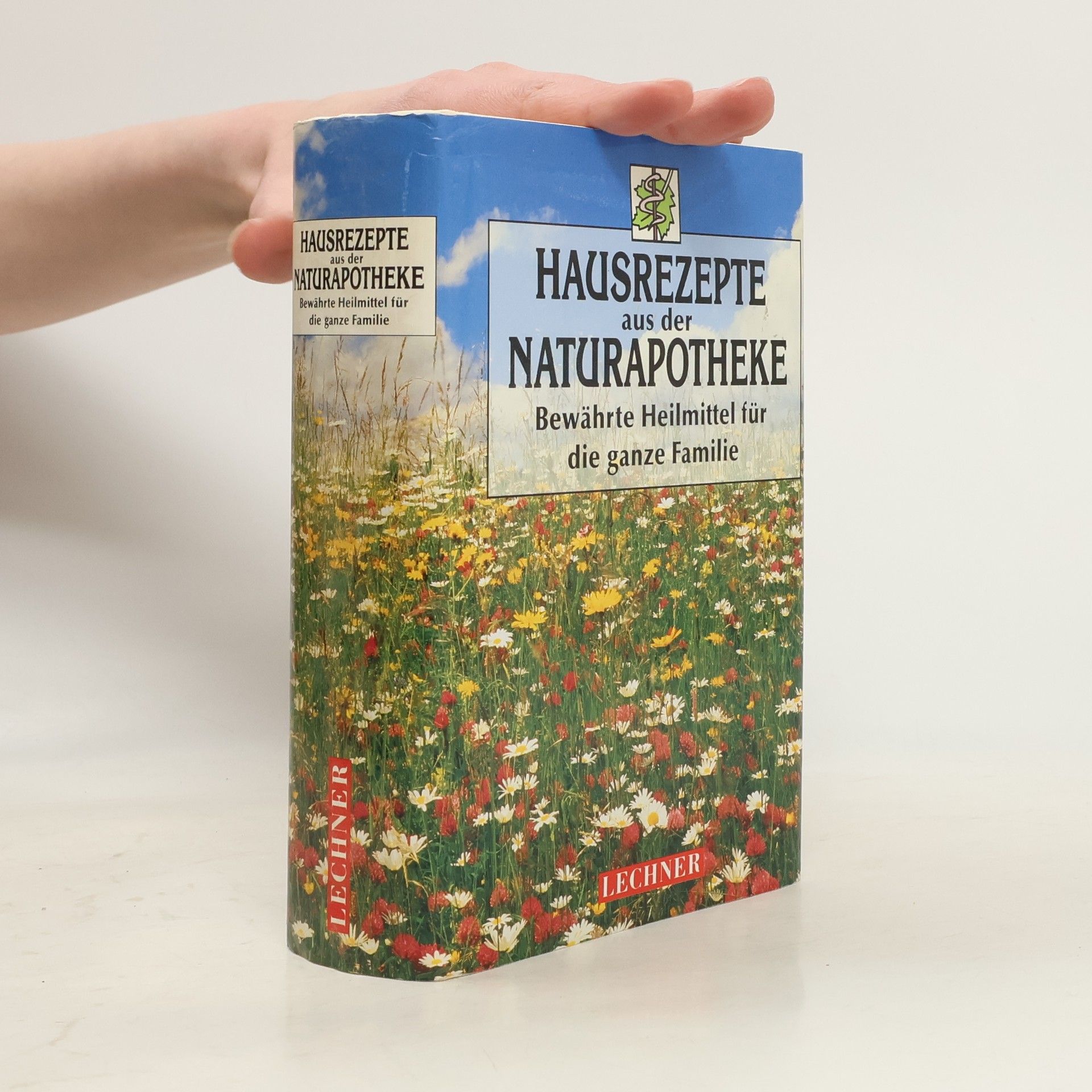 Kolektiv autorů Hausrezepte aus der Naturapotheke