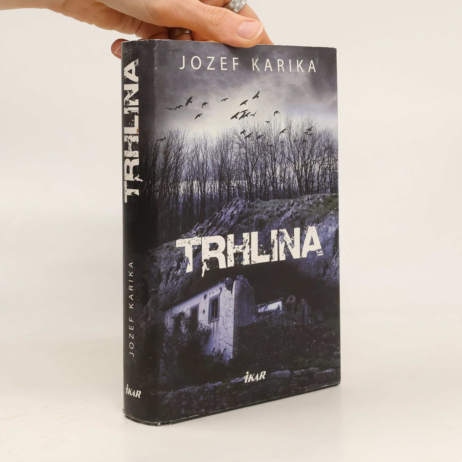 Jozef Karika Trhlina