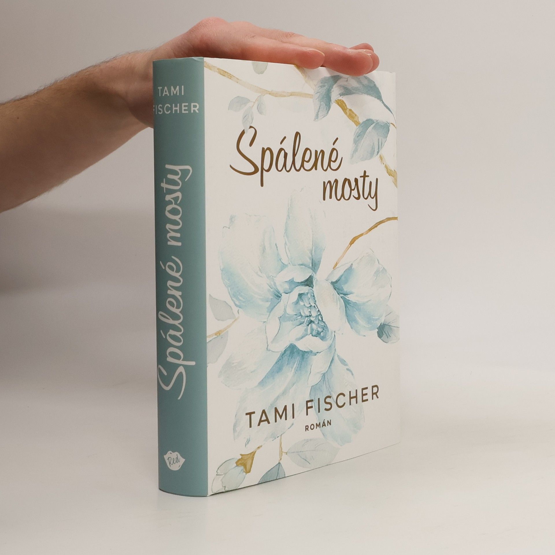 Tami Fischer Spálené mosty