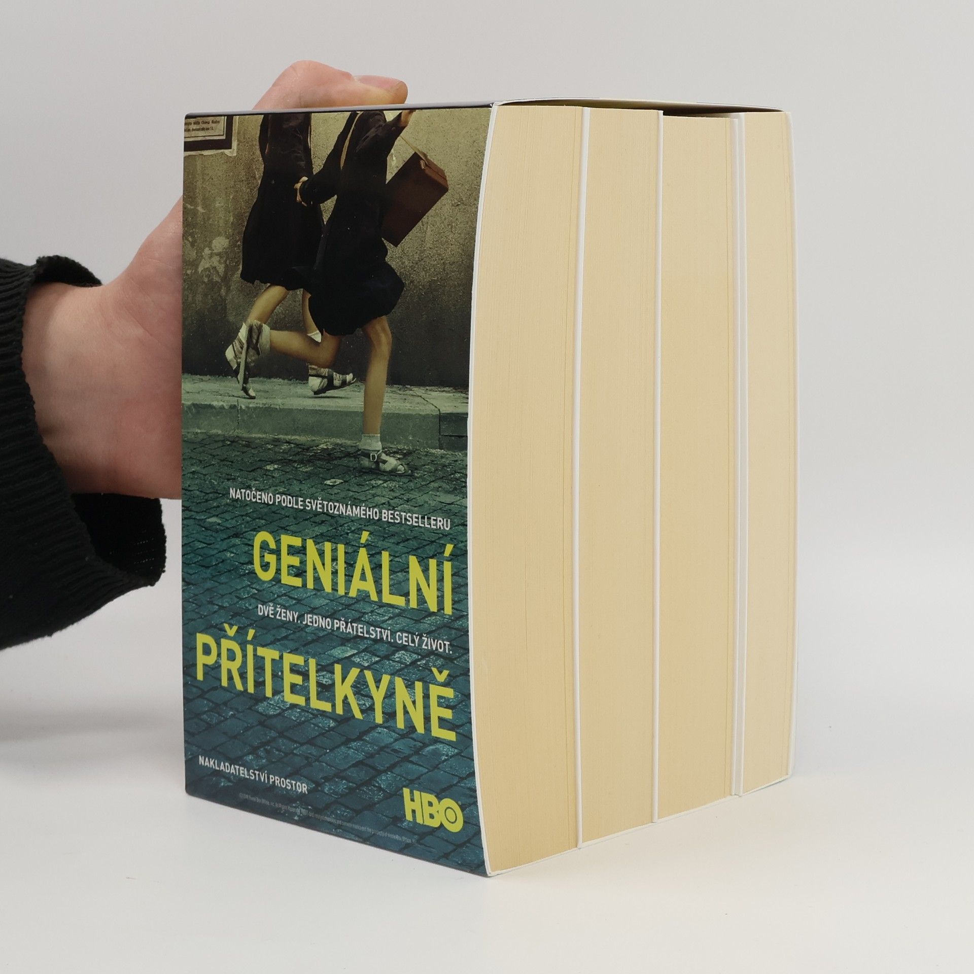 Elena Ferrante Geniální přítelkyně 1.-4. díl