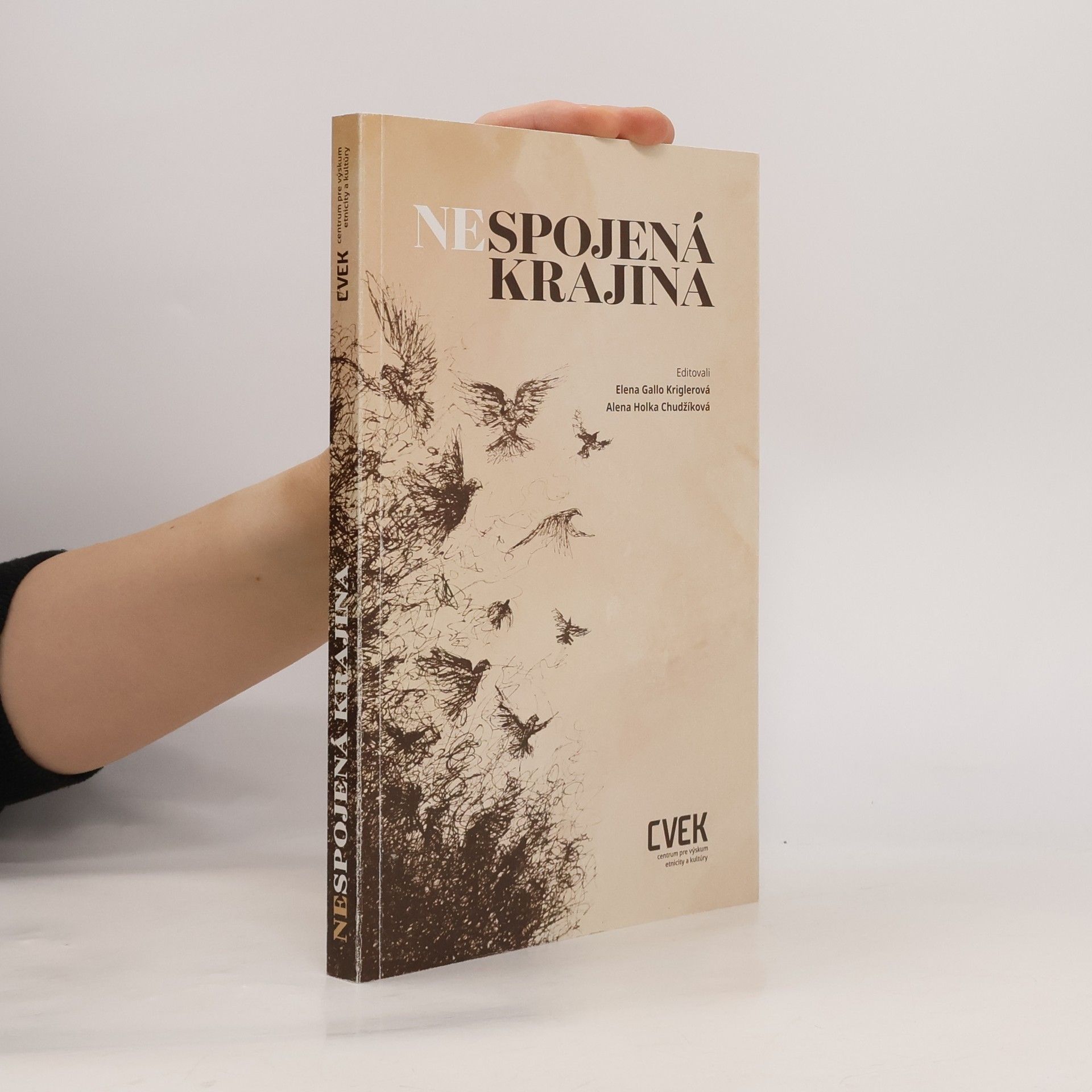 Elena Gallová Kriglerová Nespojená krajina