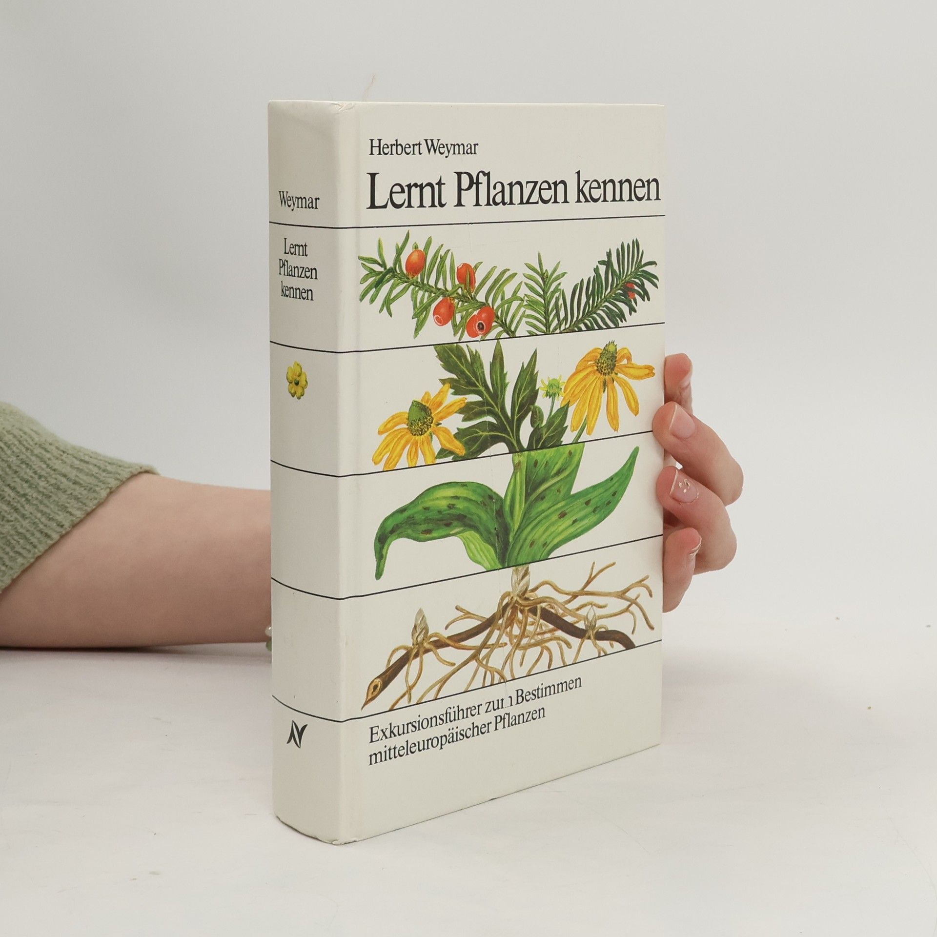 Herbert Weyma Lernt Pflanzen kennen