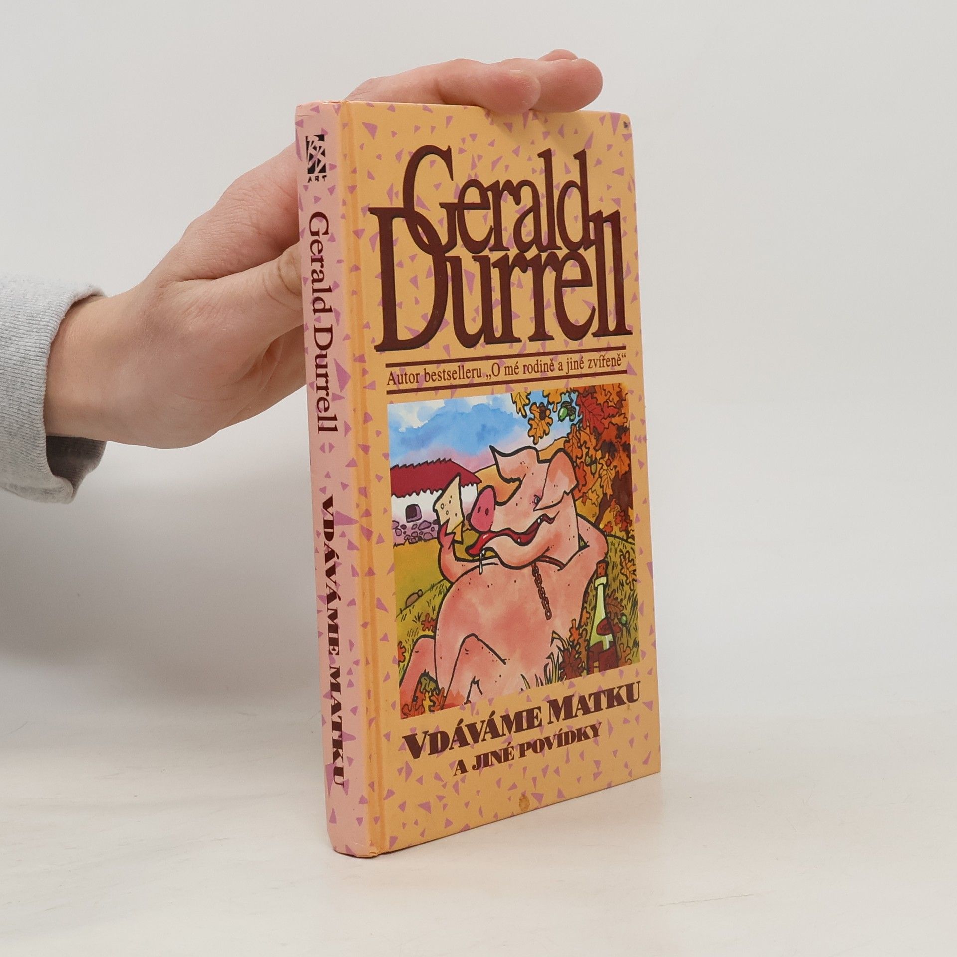 Vdáváme matku a jiné povídky