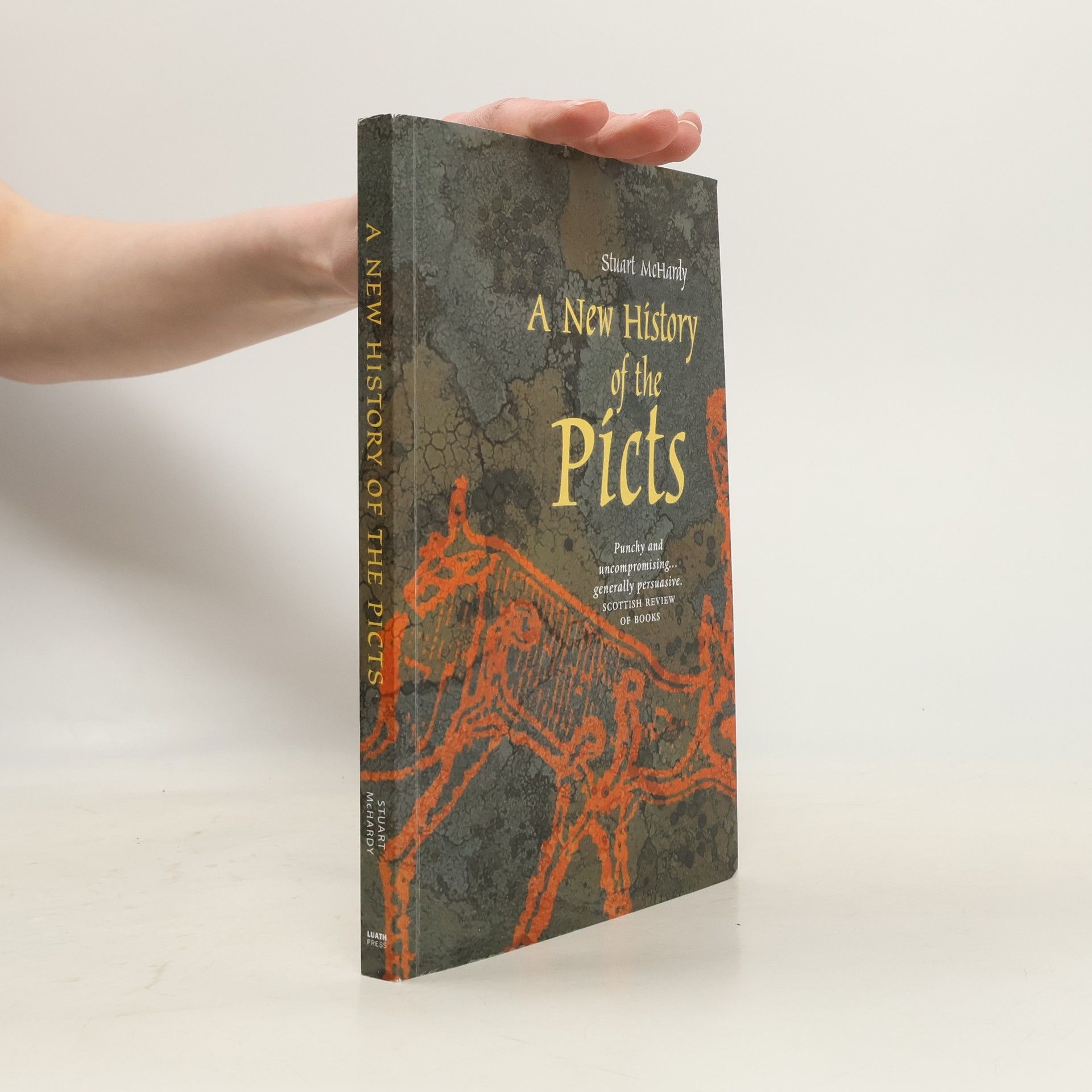 Stuart McHardy A New History of the Picts