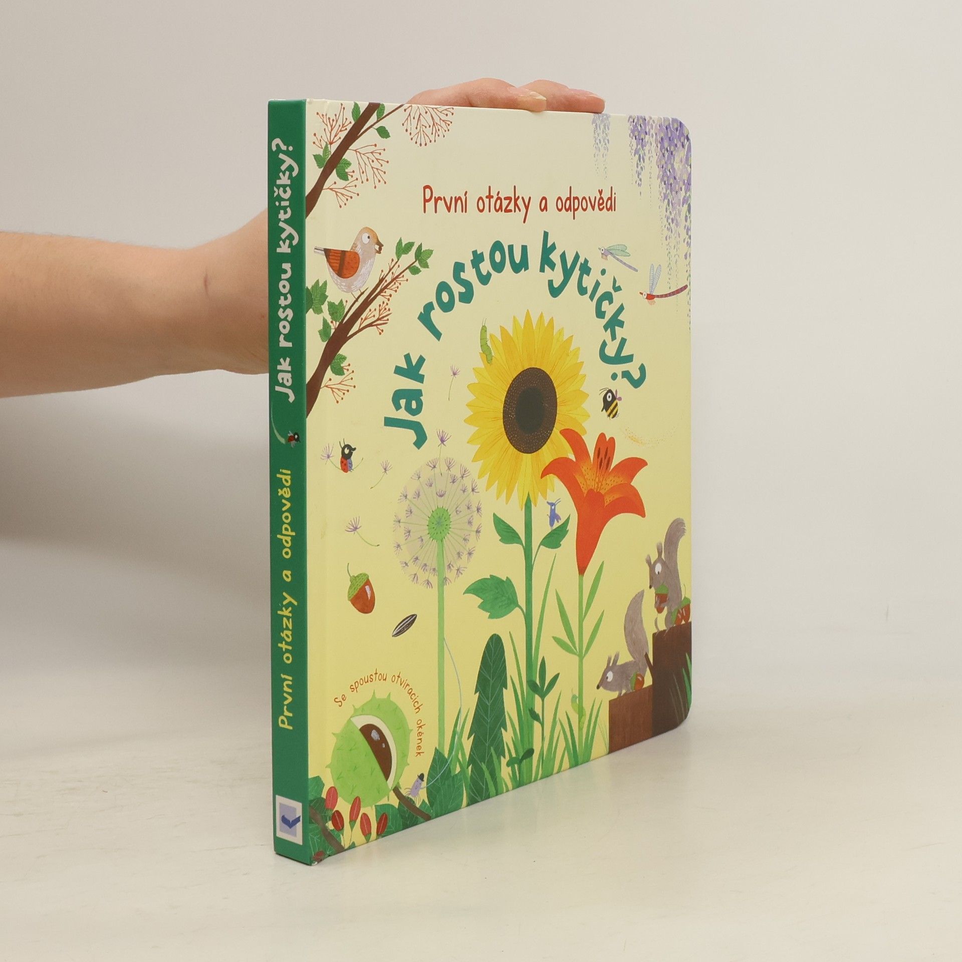 Katie Daynes Jak rostou kytičky?