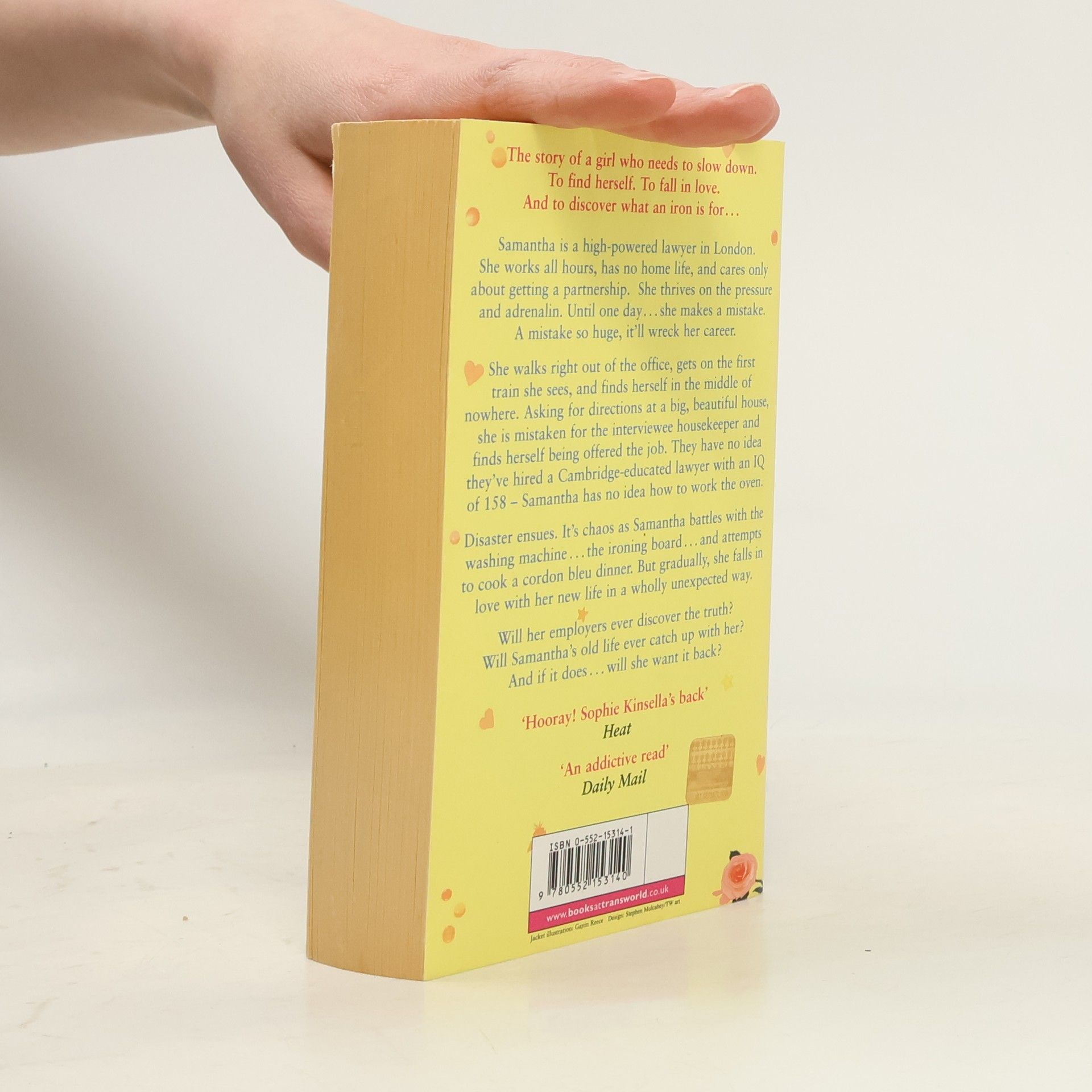 Sophie Kinsella The Undomestic Goddess