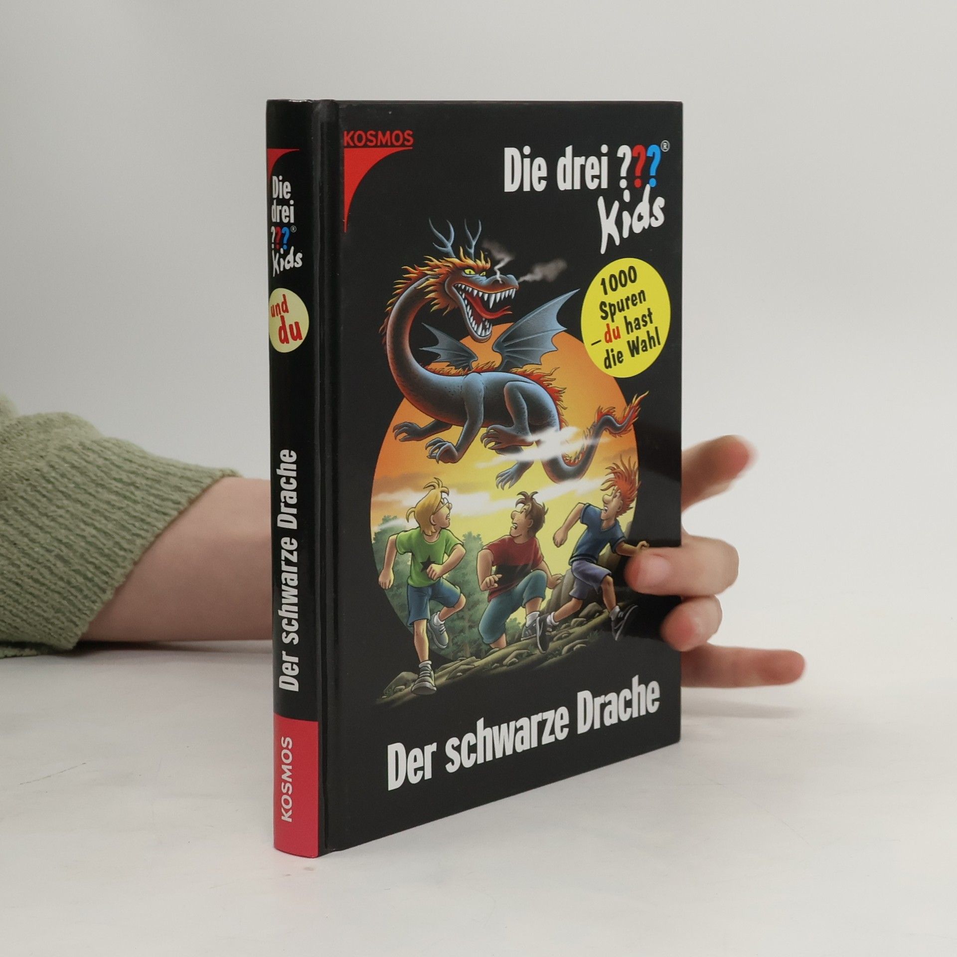 Boris Pfeiffer Der schwarze Drache