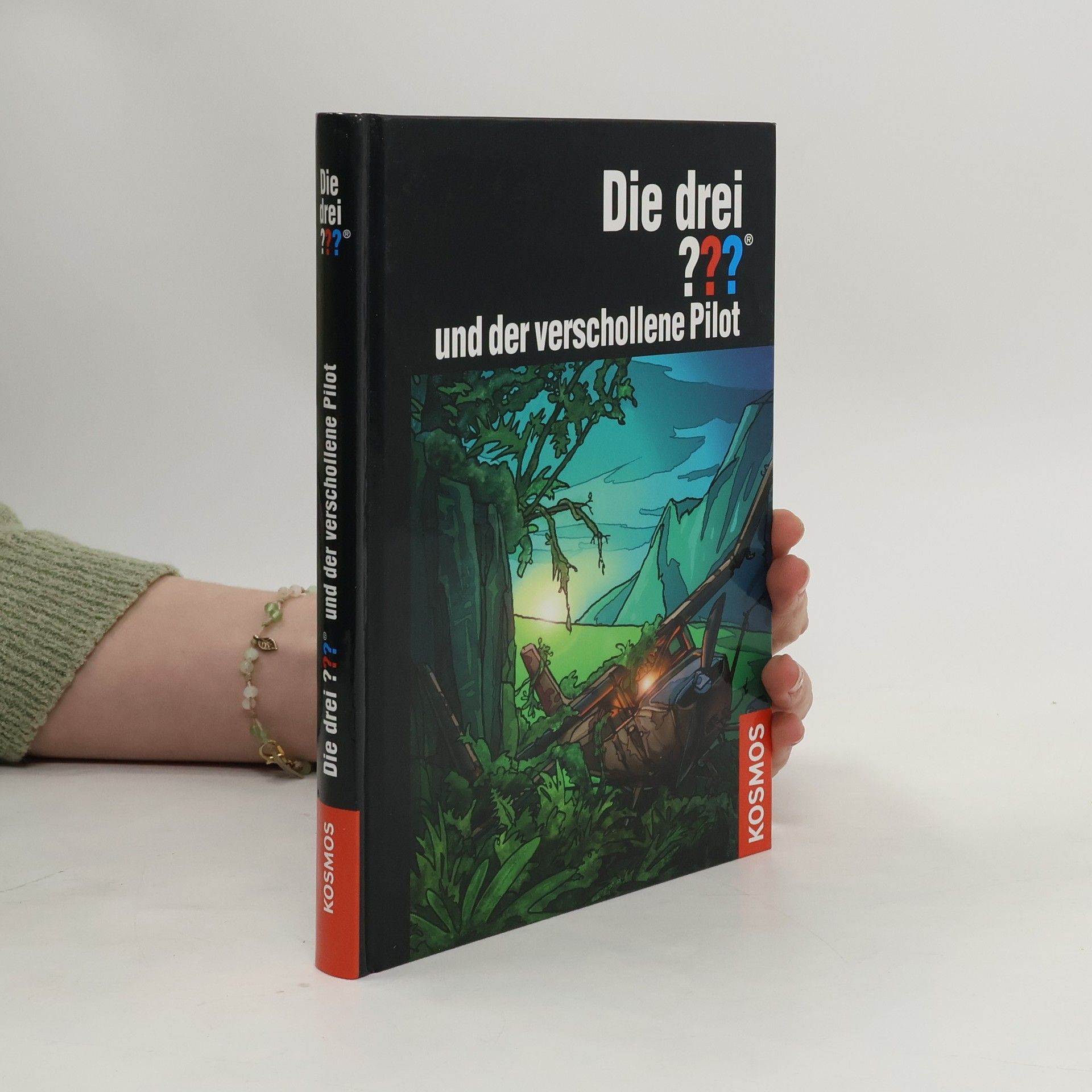 Ben Nevis Die drei ??? und der verschollene Pilot