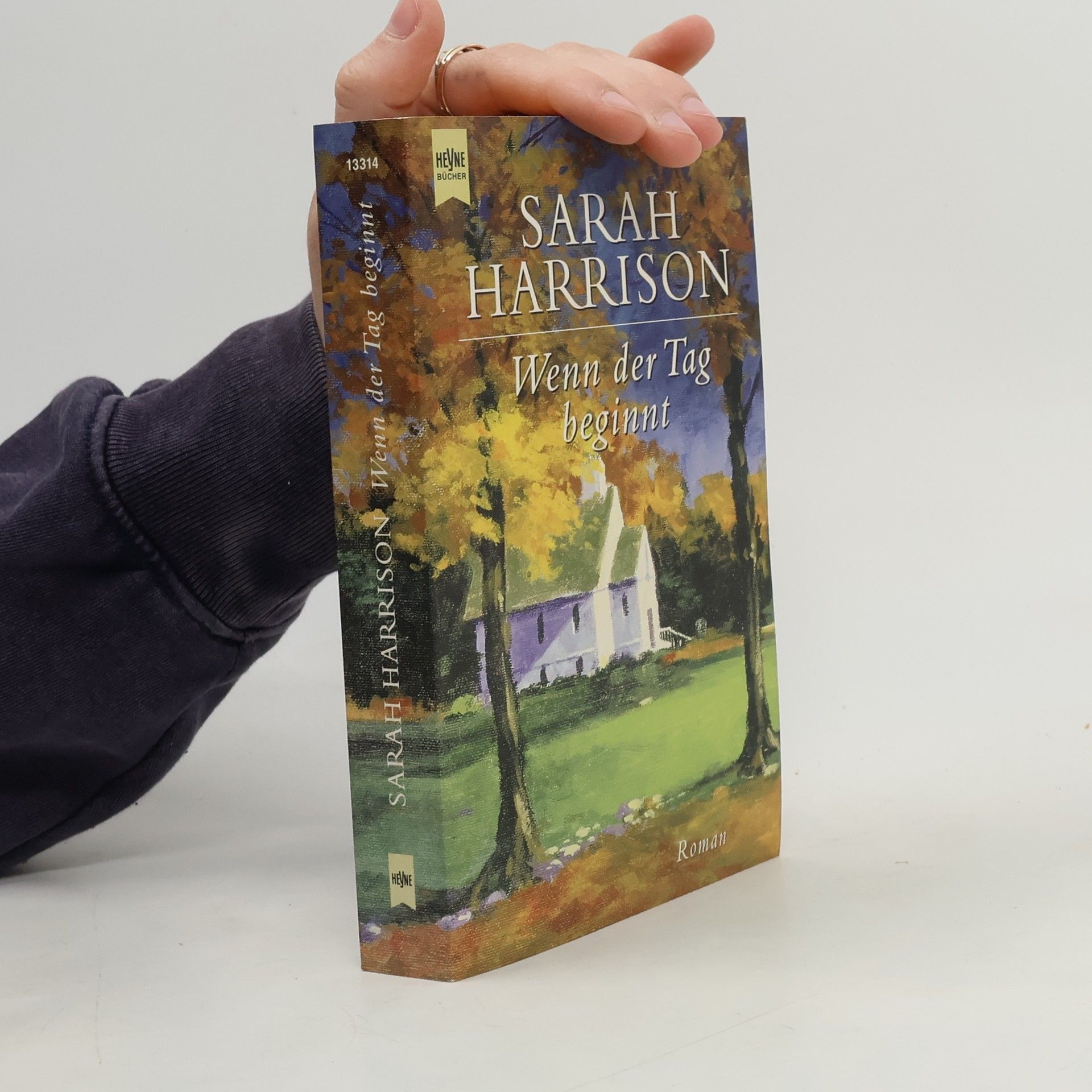 Sarah Harrison Wenn der Tag beginnt