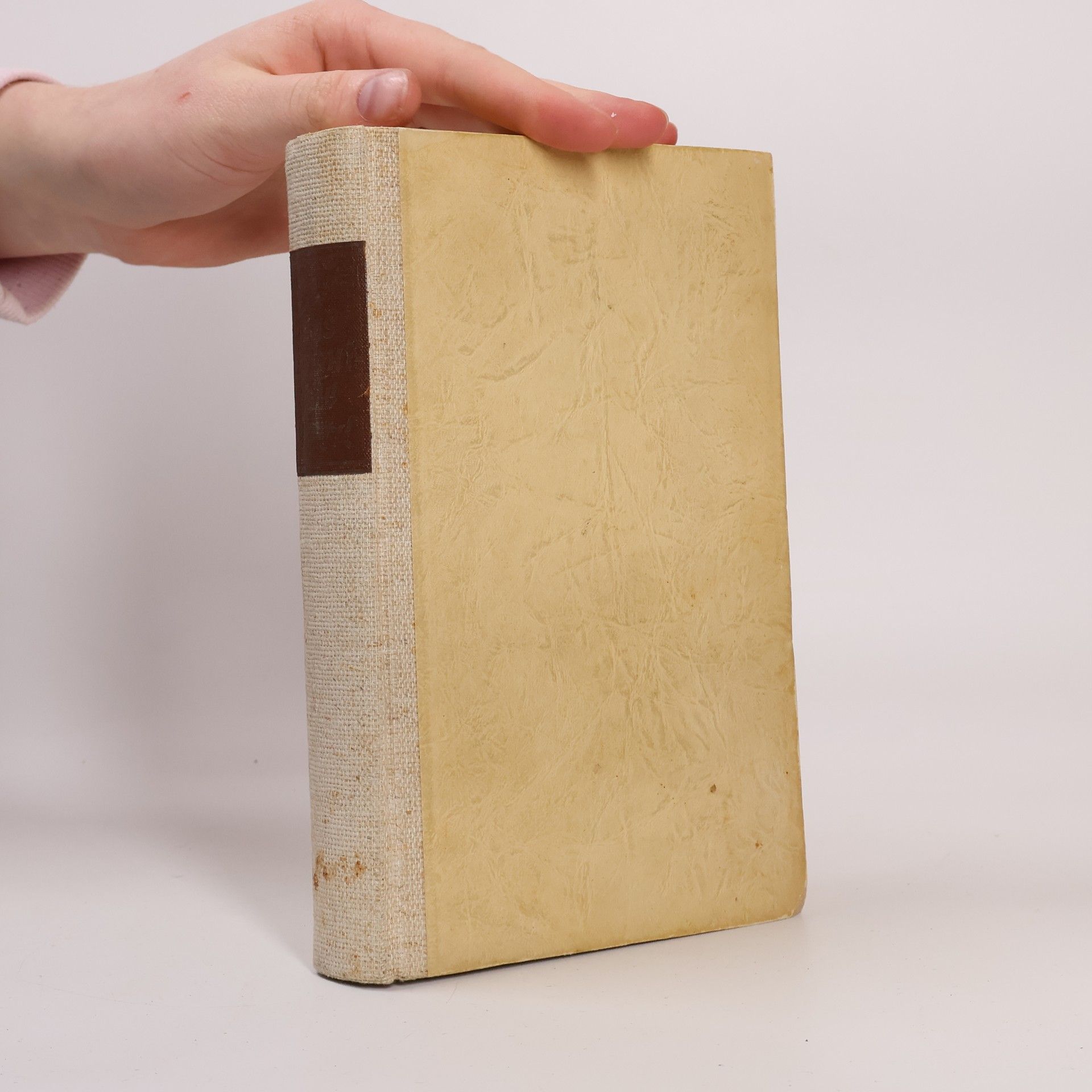 Das trojanische Pferd auf Wanderschaft