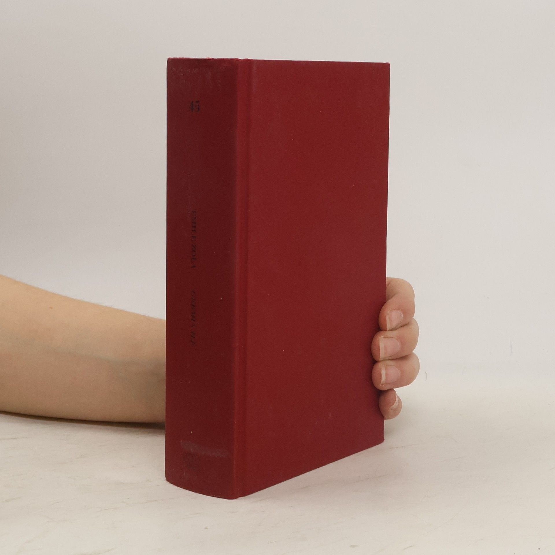 Émile Zola Germinale. Parte Quarta. Capitolo V.