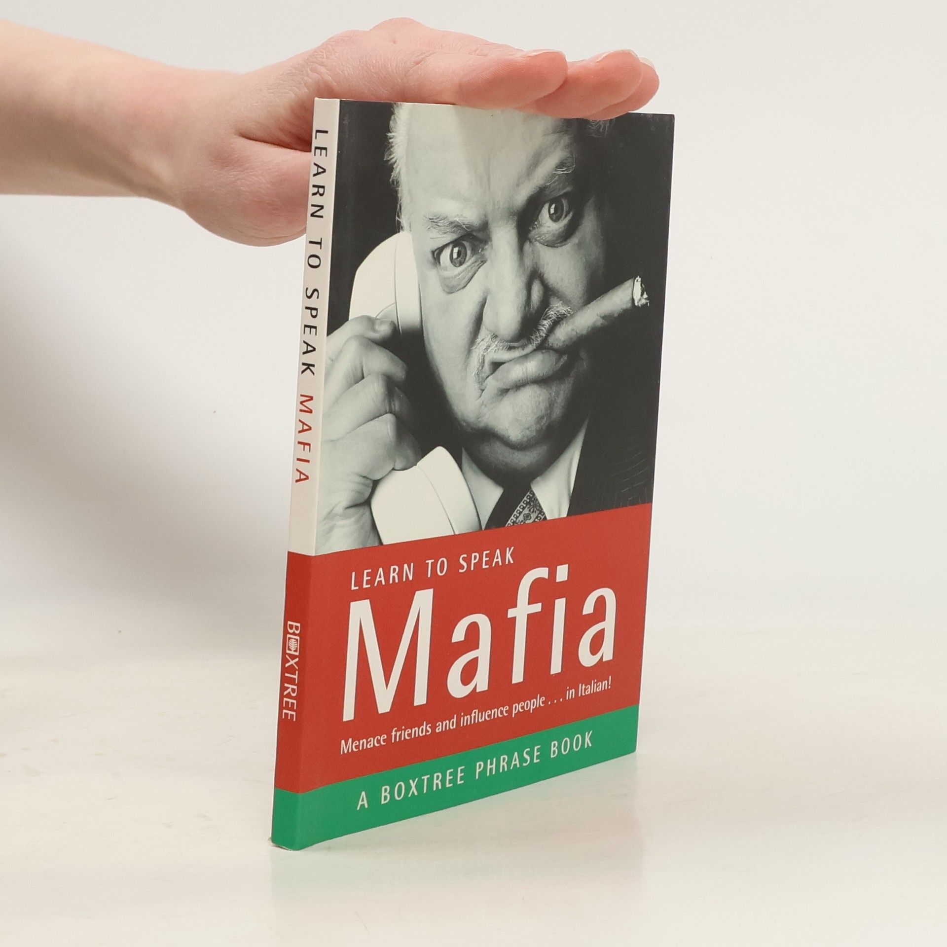 Giovanni Bruno Boxtree Phrasebook: Learn to Speak Mafia