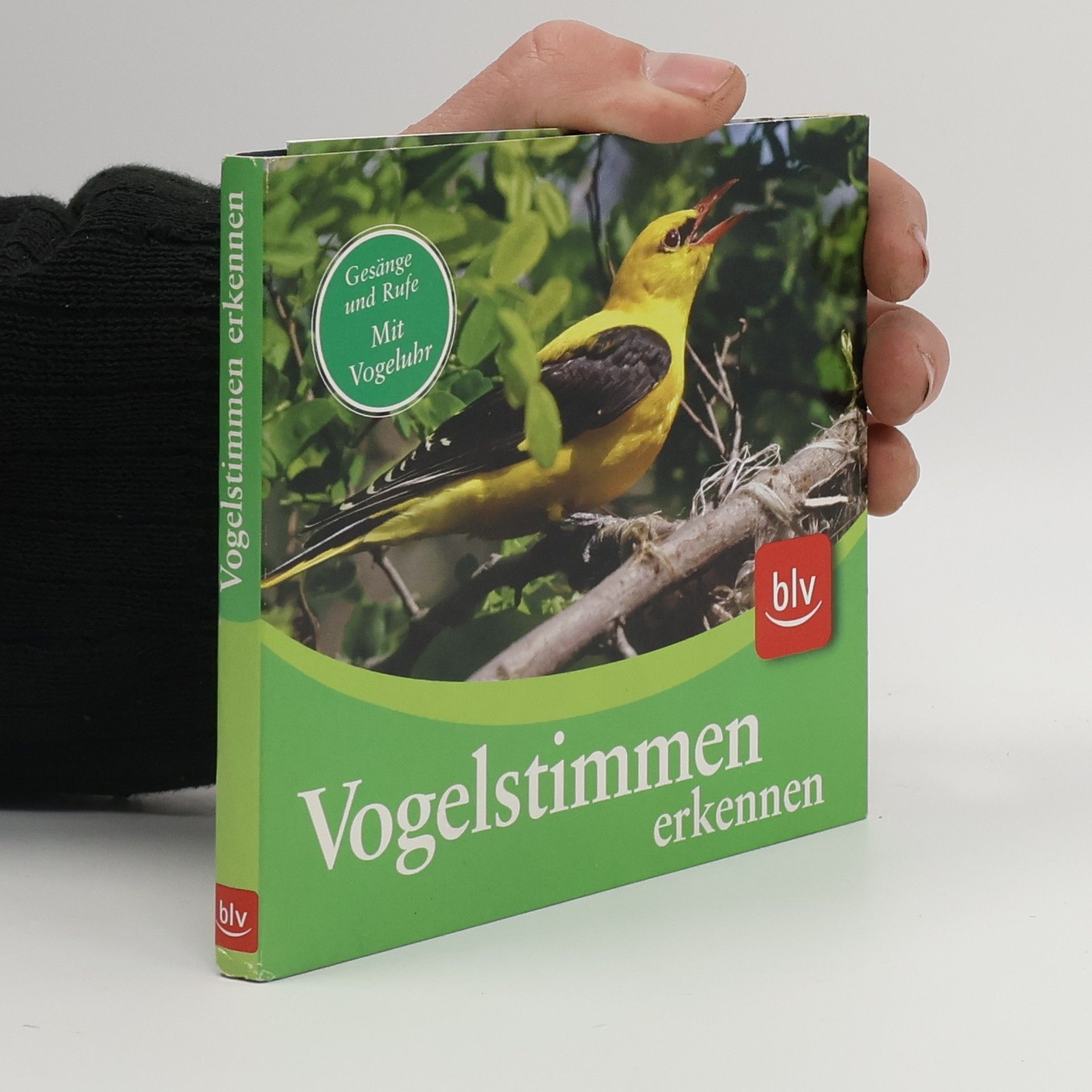 Autorenkollektiv Vogelstimmen erkennen