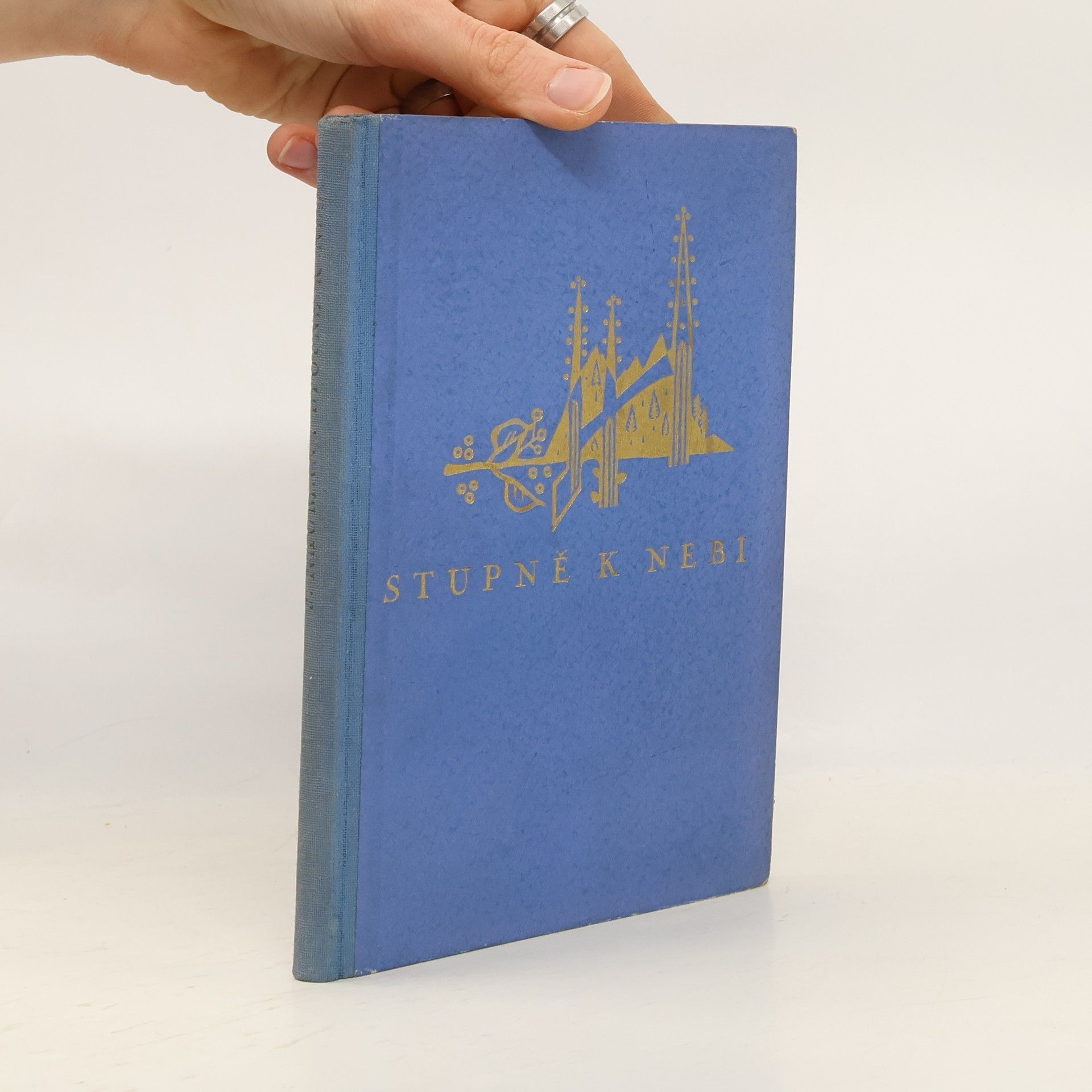Nauman Jaroslav Stupně k nebi
