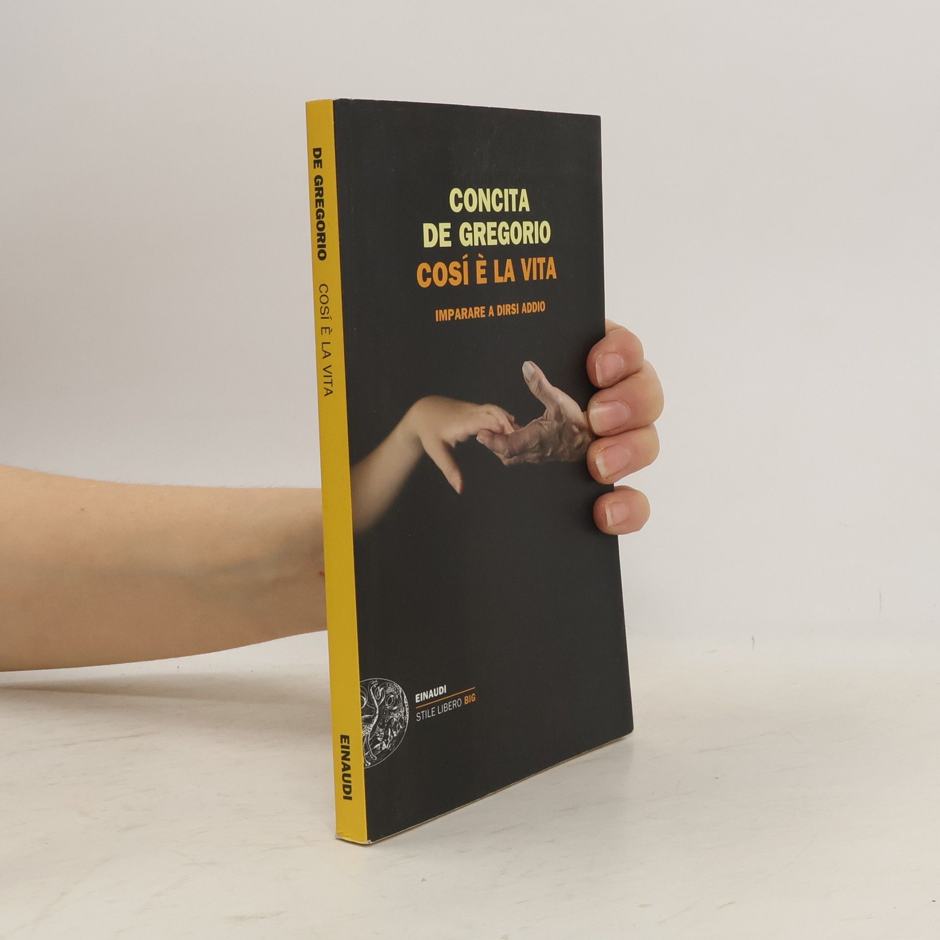 Così è la vita. Imparare a dirsi addio
