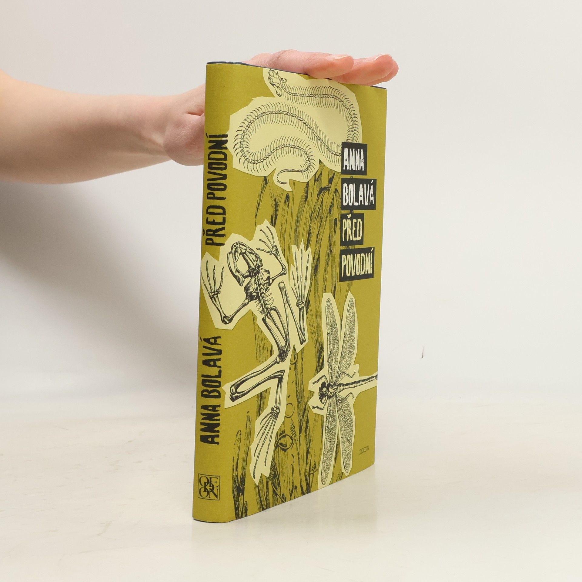 Anna Bolavá Před povodní