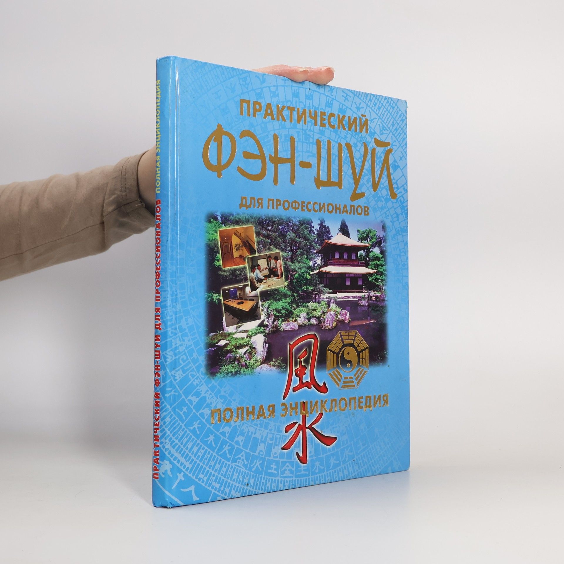 О. Г. Березина Практическиǐ фэн-шуǐ для профессионалов