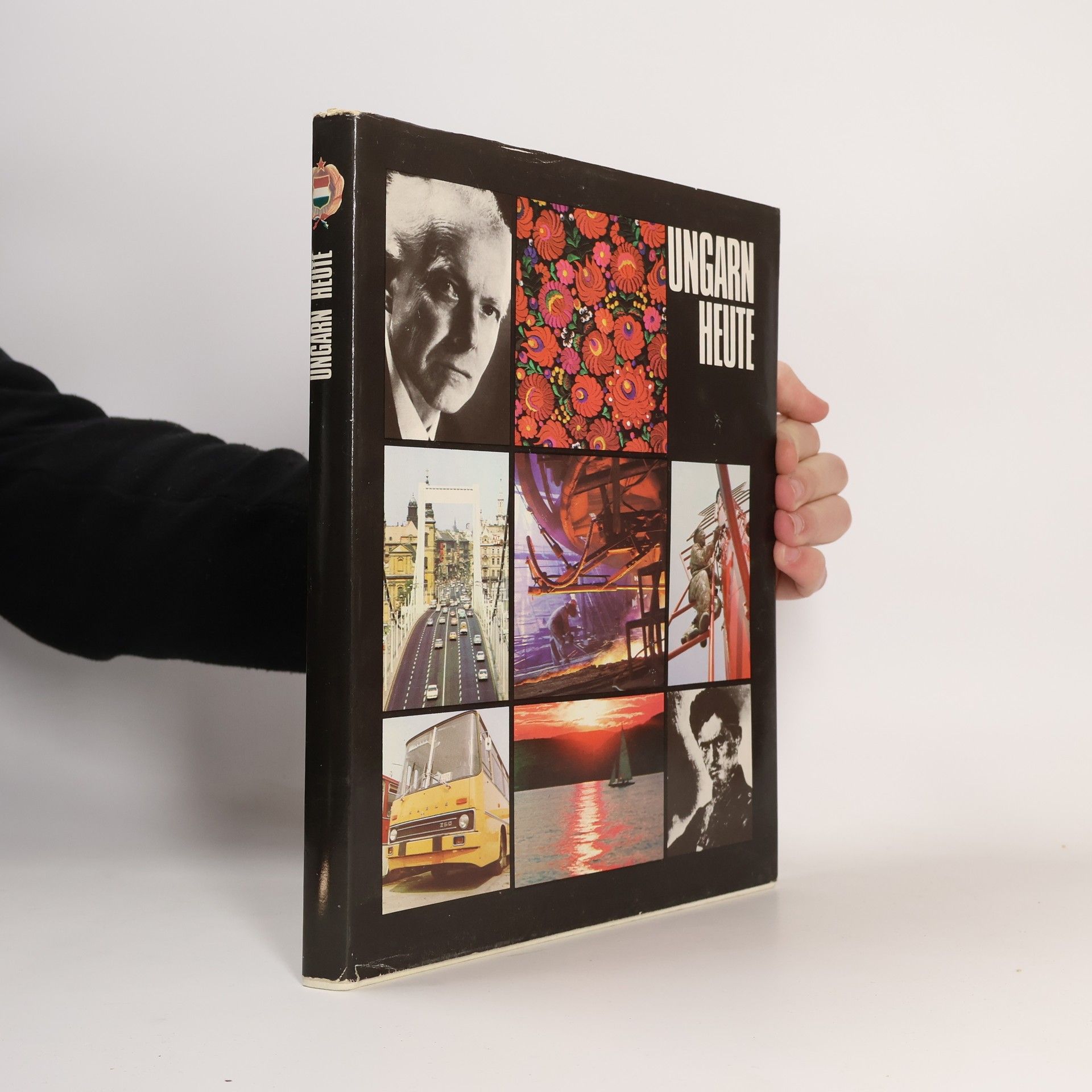 Auteurscollectief Ungarn Heute