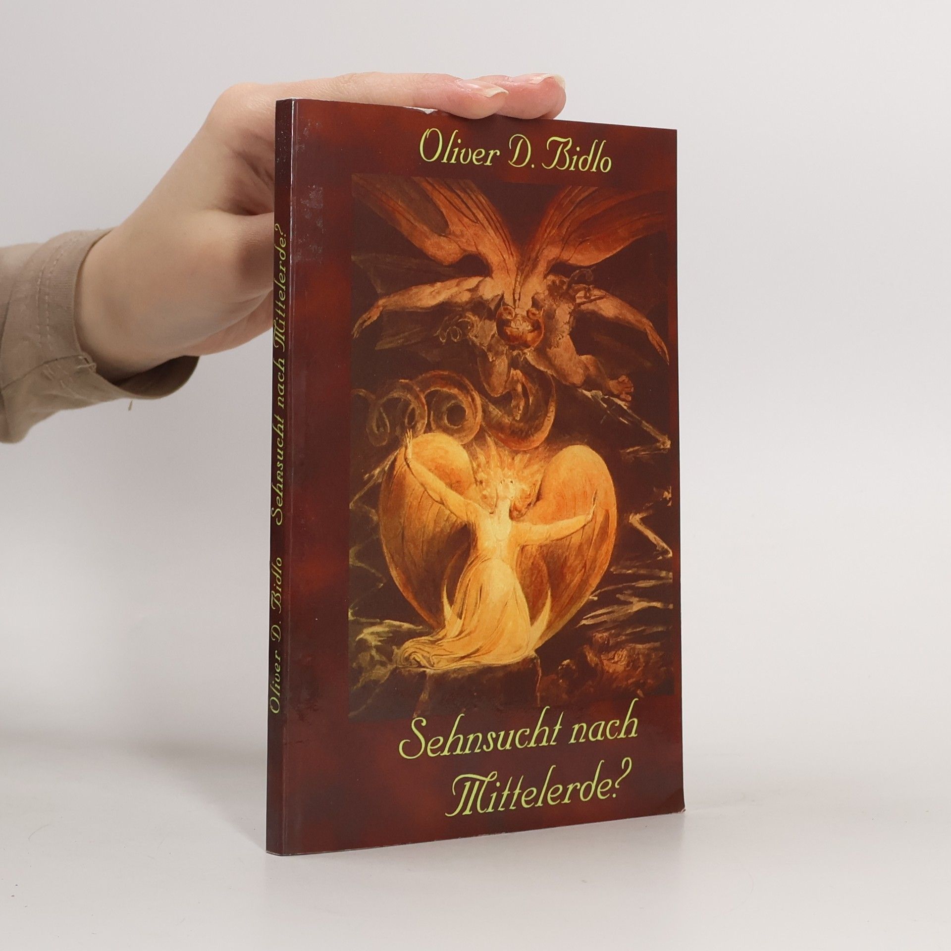 Oliver D. Bidlo Sehnsucht nach Mittelerde?