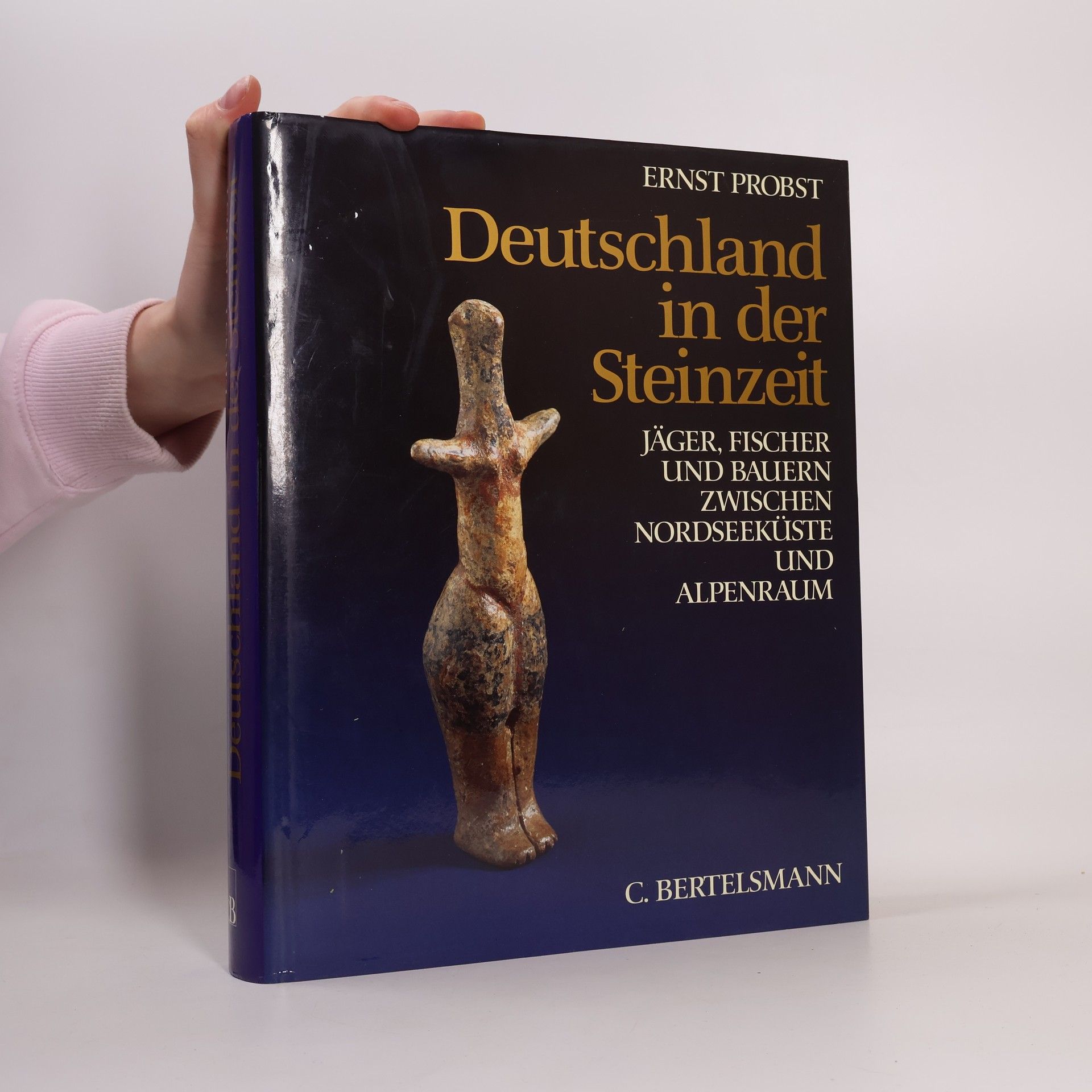 Serge Ernst Deutschland in der Steinzeit