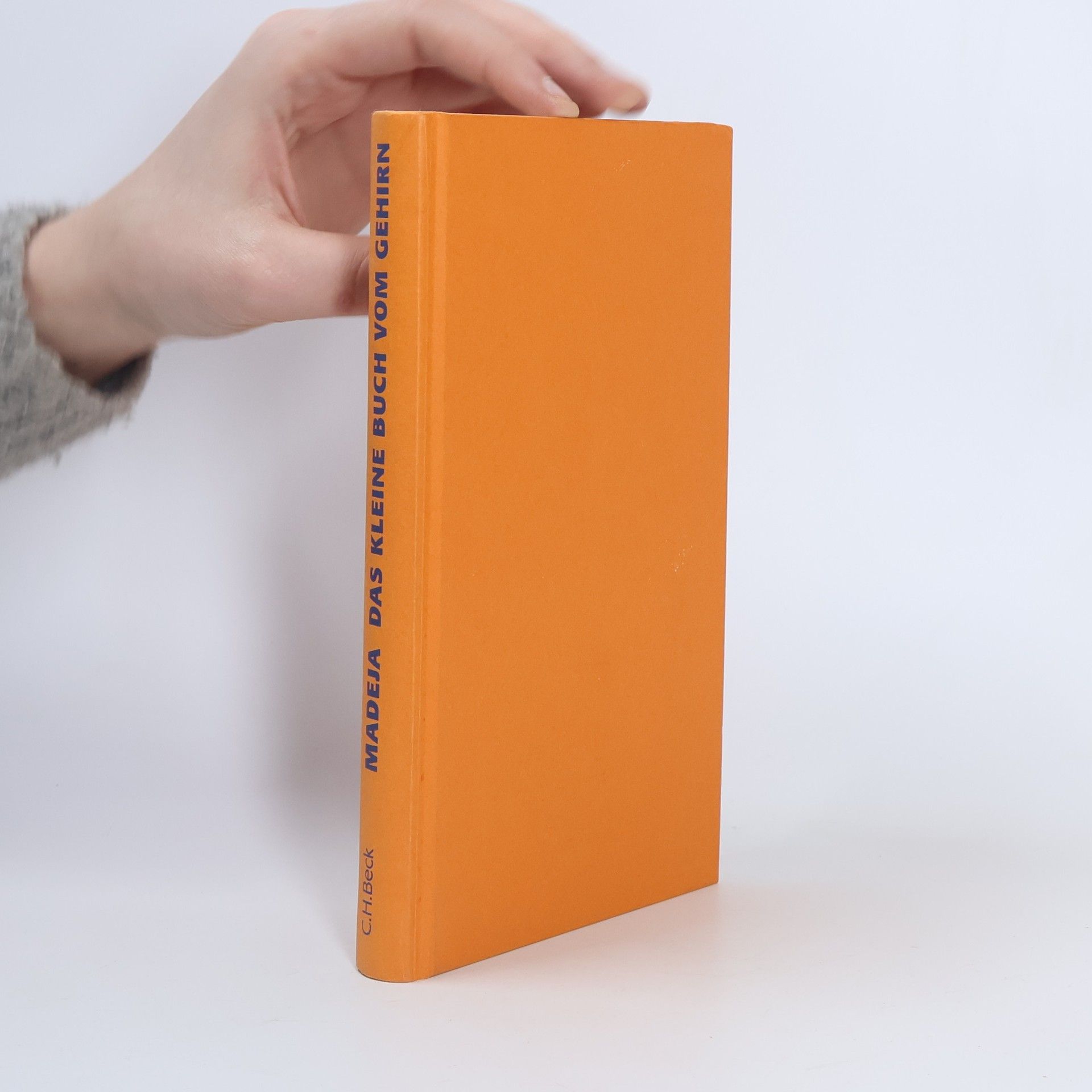 Michael Madeja Das kleine Buch vom Gehirn