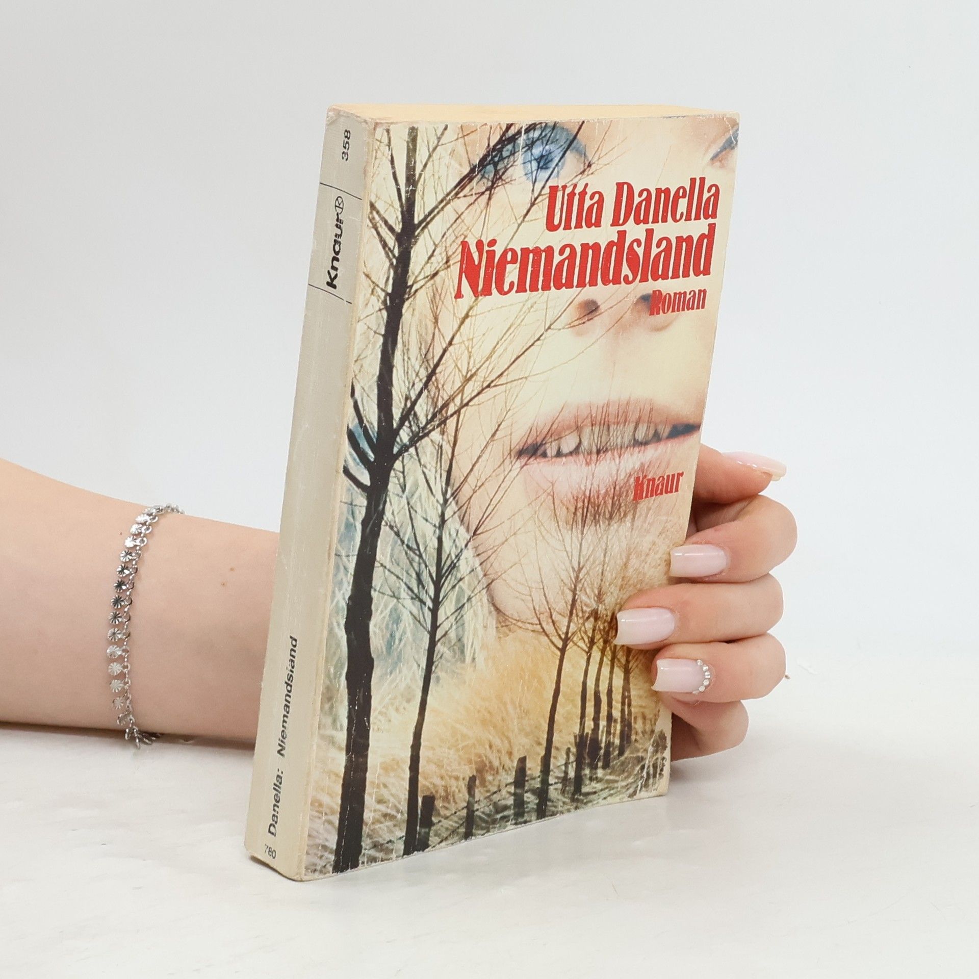 Utta Danella Niemandsland