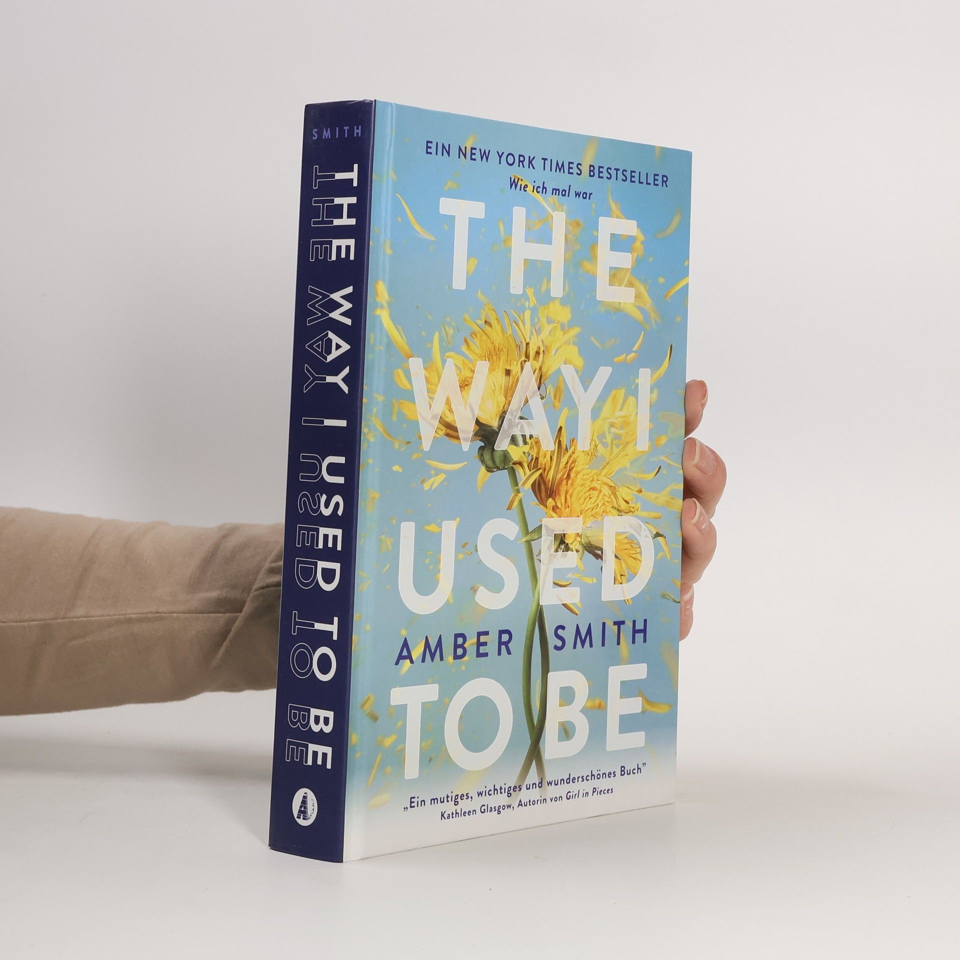 Amber Smith Wie ich mal war. The Way I Used to Be