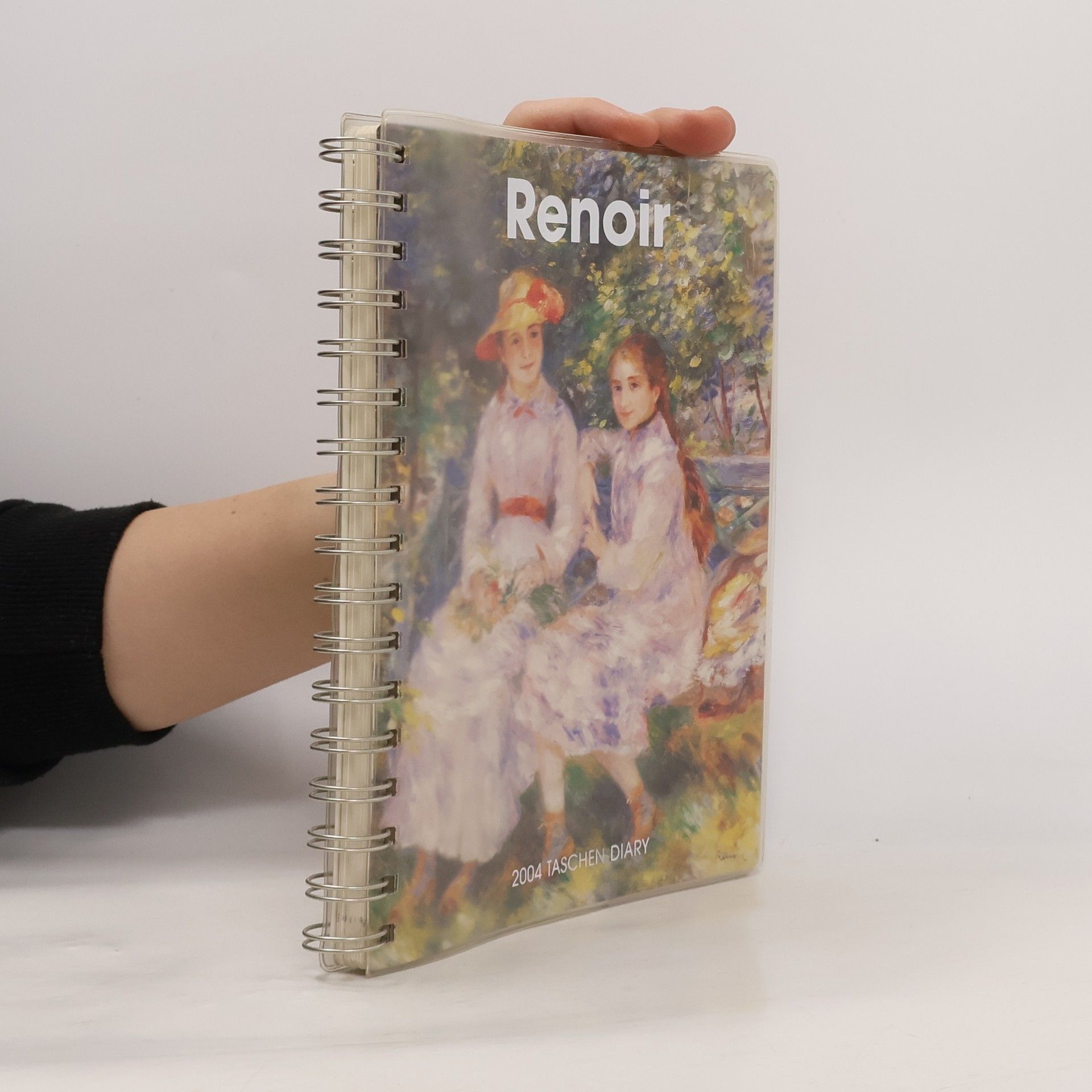 Auguste Renoir The Renoir Diary