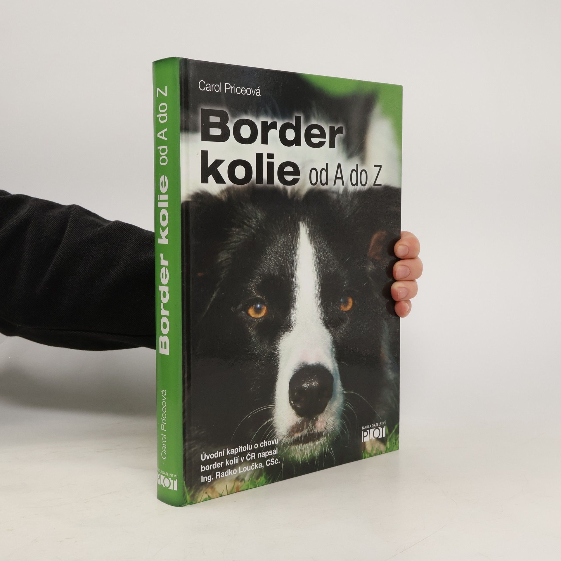 Carol Price Border kolie od A do Z