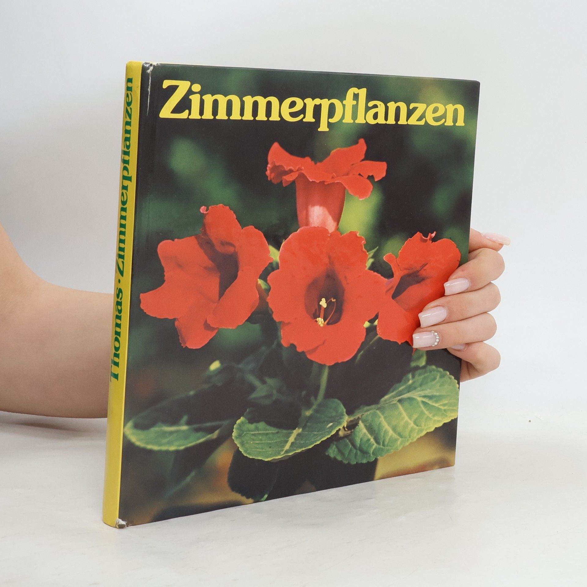 Editha Thomas Zimmerpflanzen