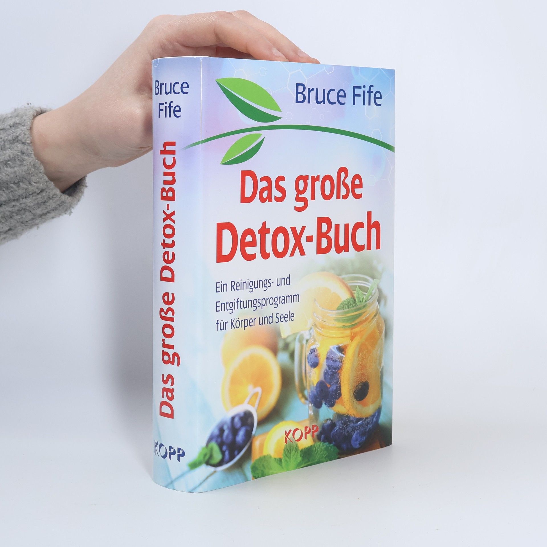 Bruce Fife Das große Detox-Buch