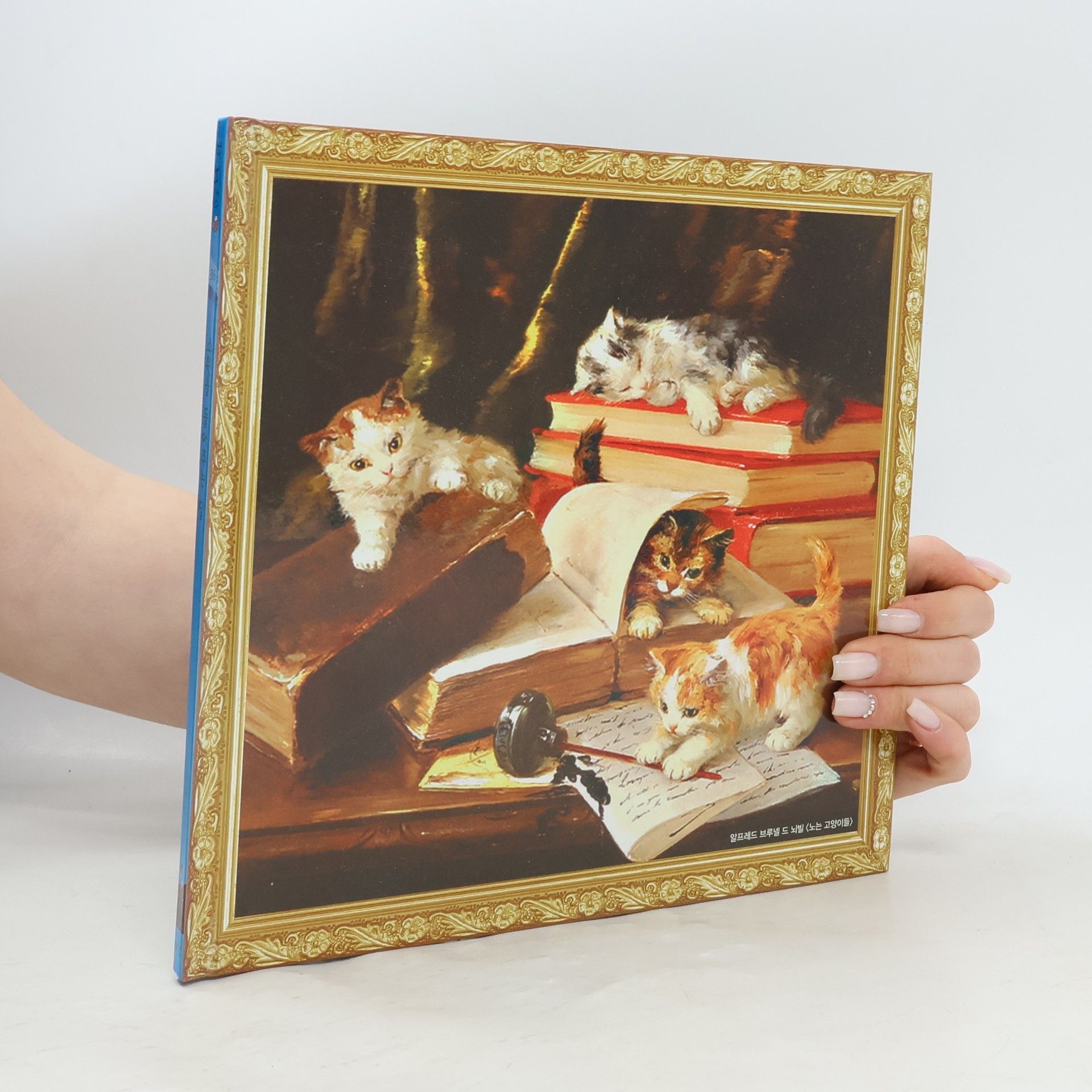 Autores varios 소원을 들어주는 달