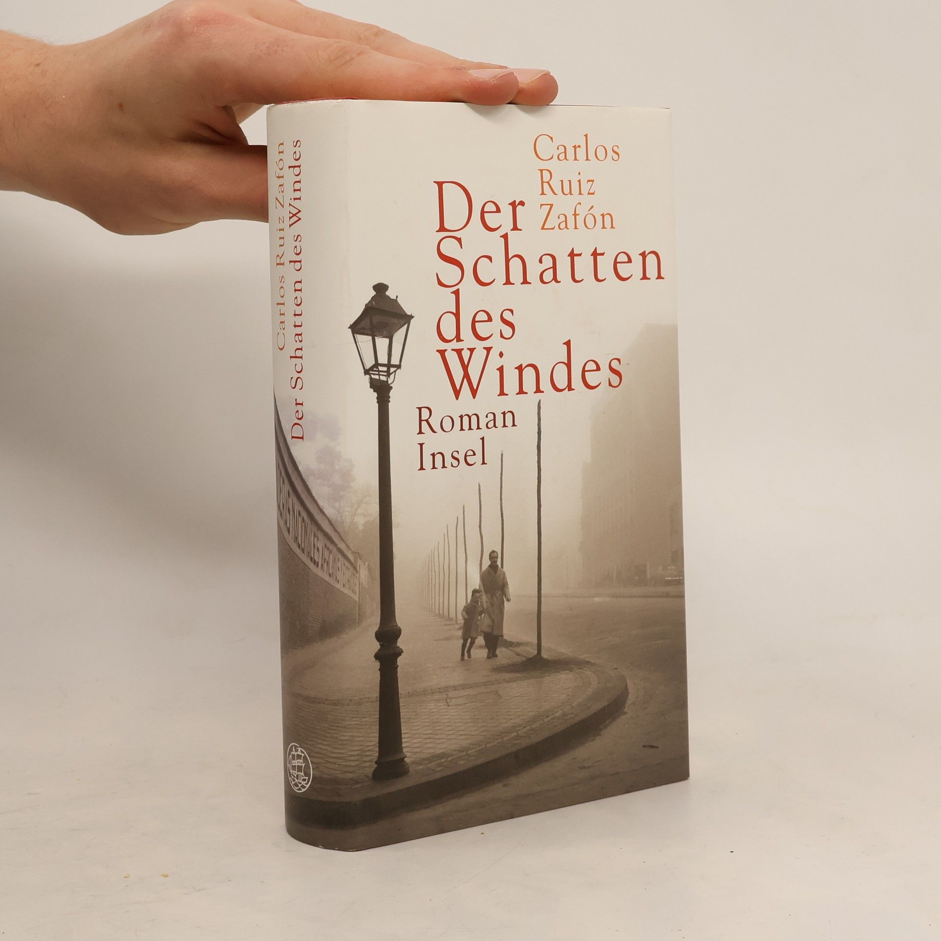 Carlos Ruiz Safon Der Schatten des Windes