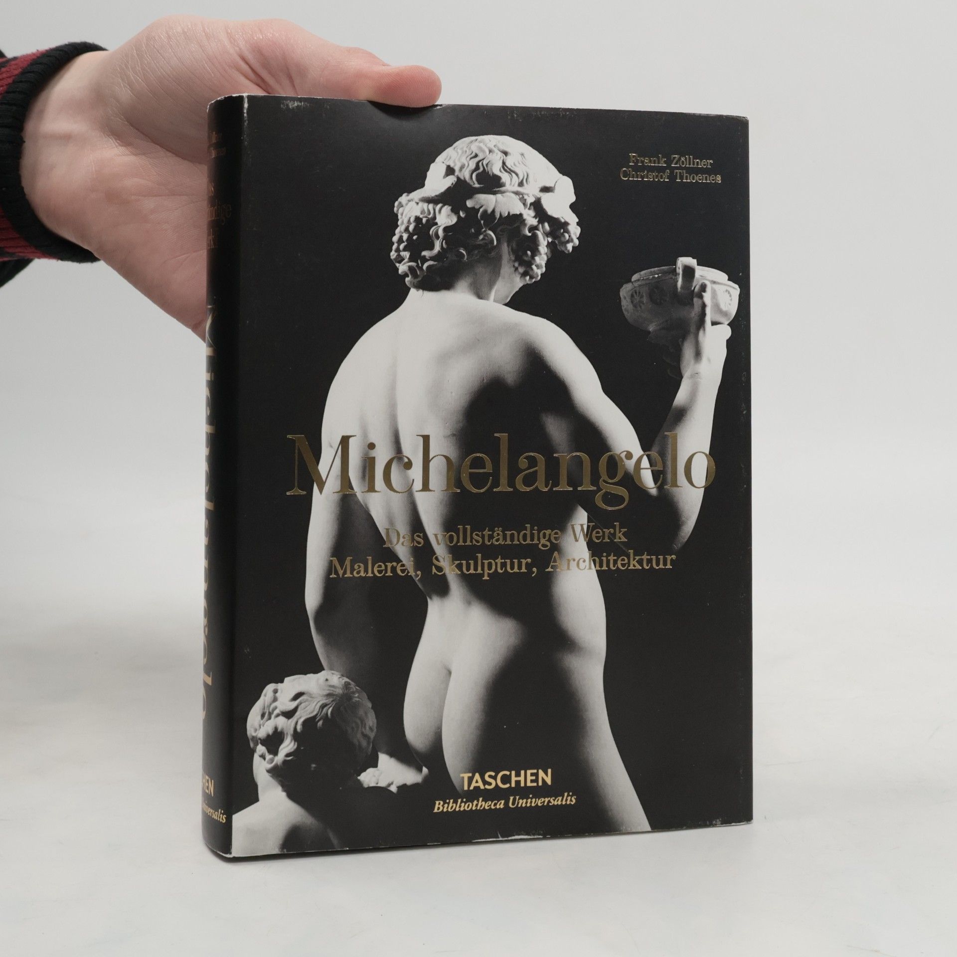 Frank Zöllner Michelangelo