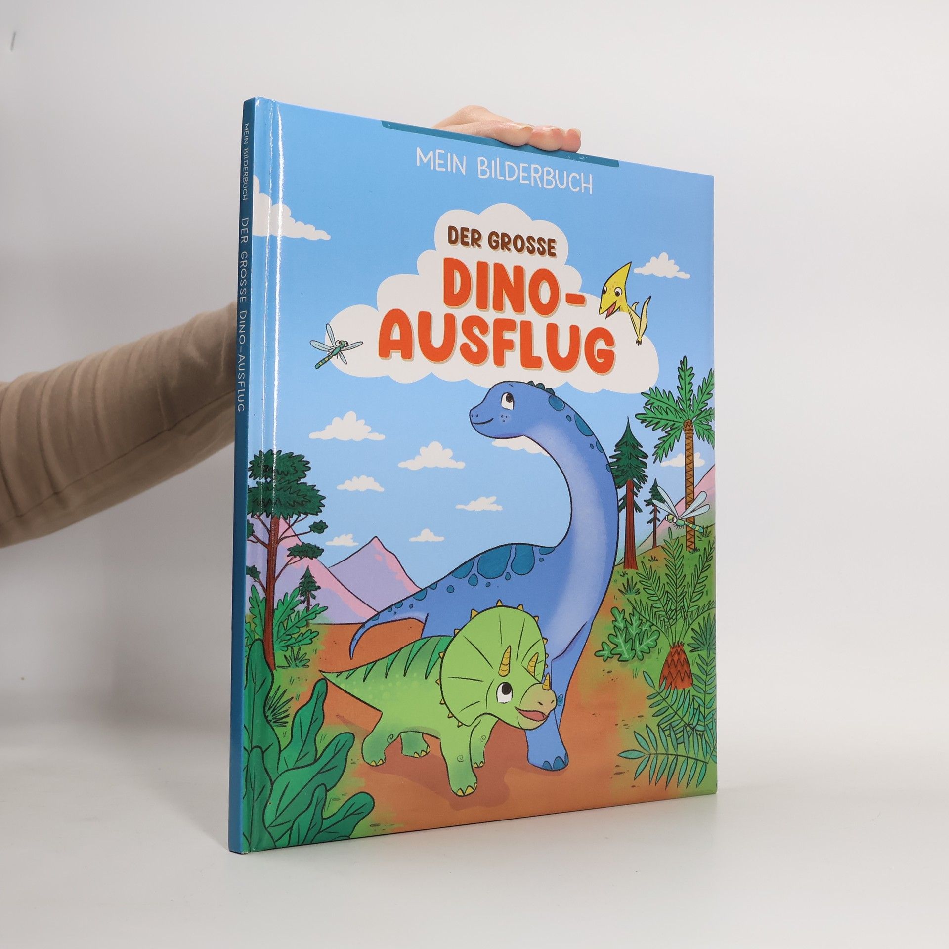 Autorenkollektiv Der grosse Dino-Ausflug