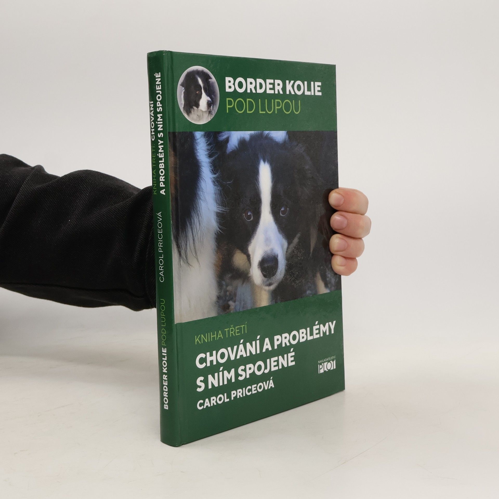 Carol Price Chování a problémy s ním spojené