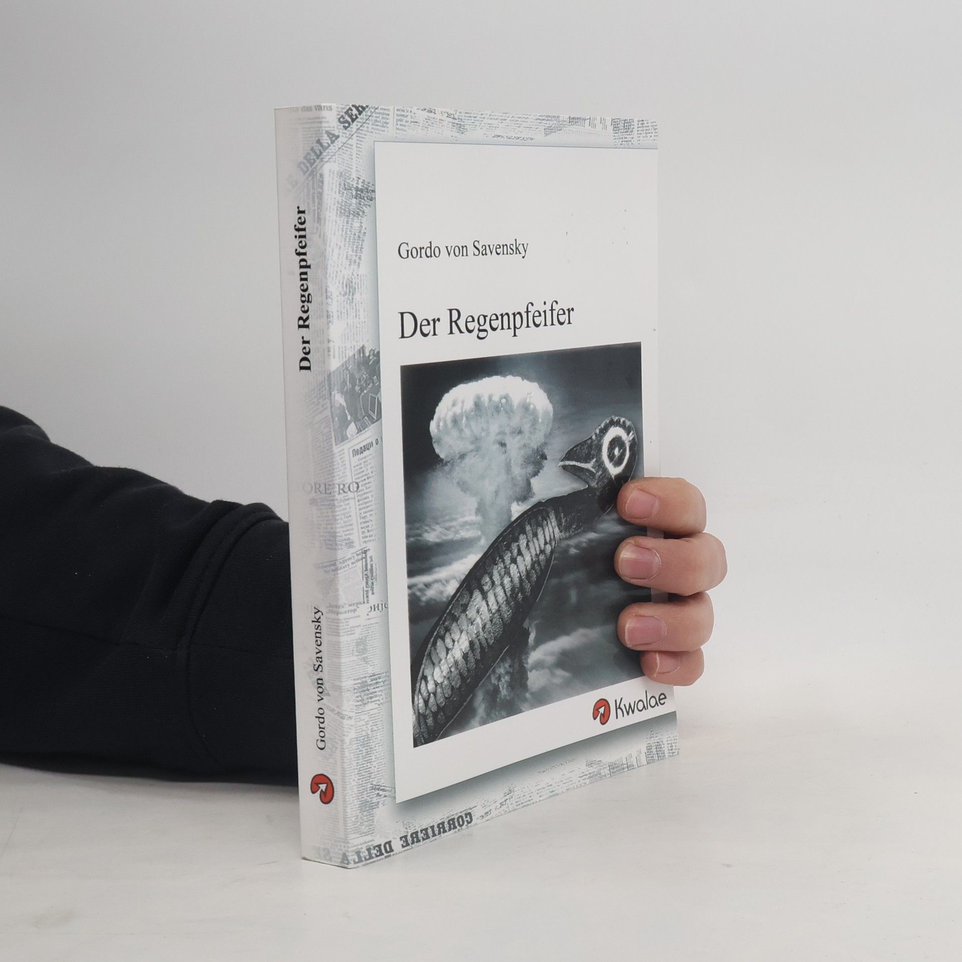 Der Regenpfeifer
