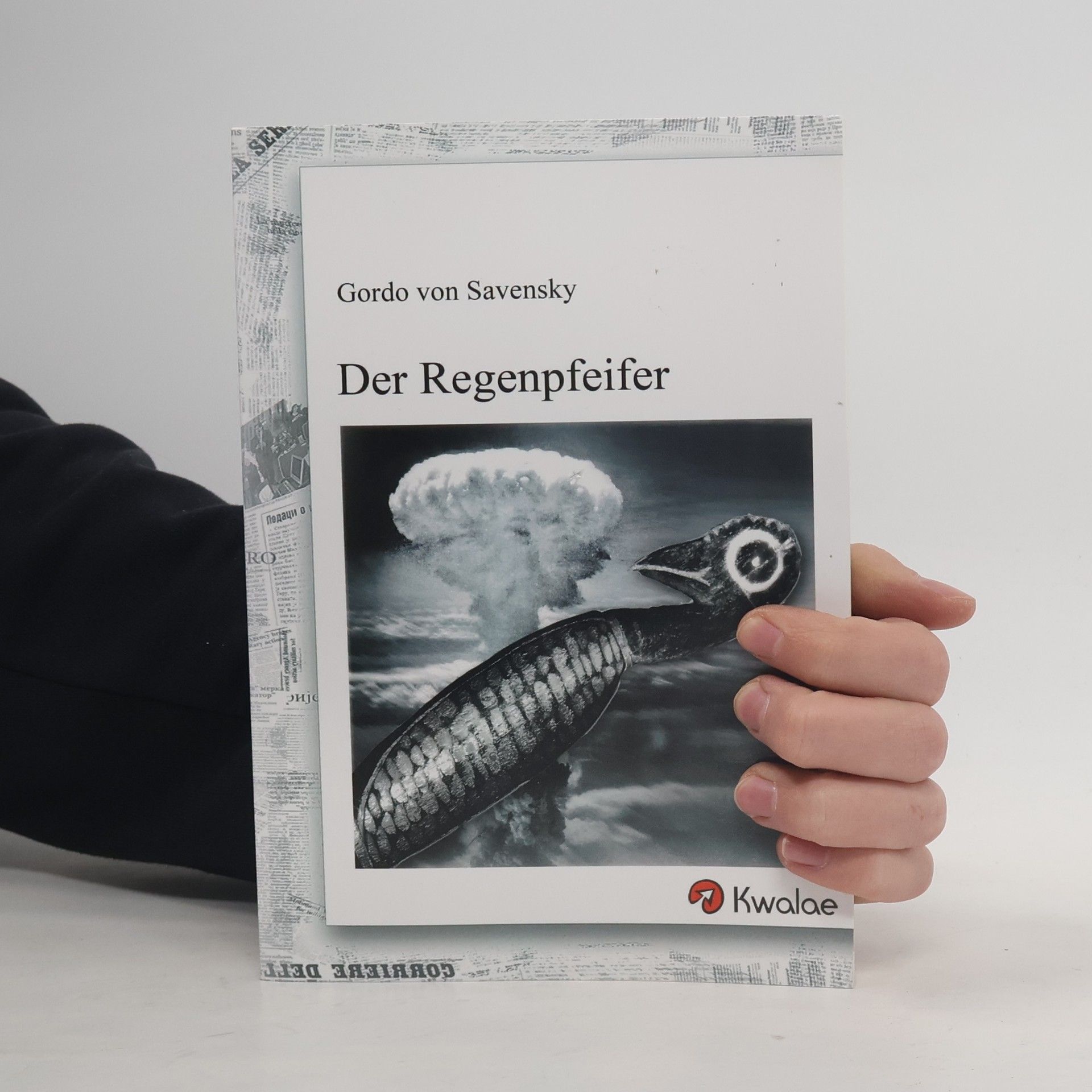 Gordo von Savensky Der Regenpfeifer