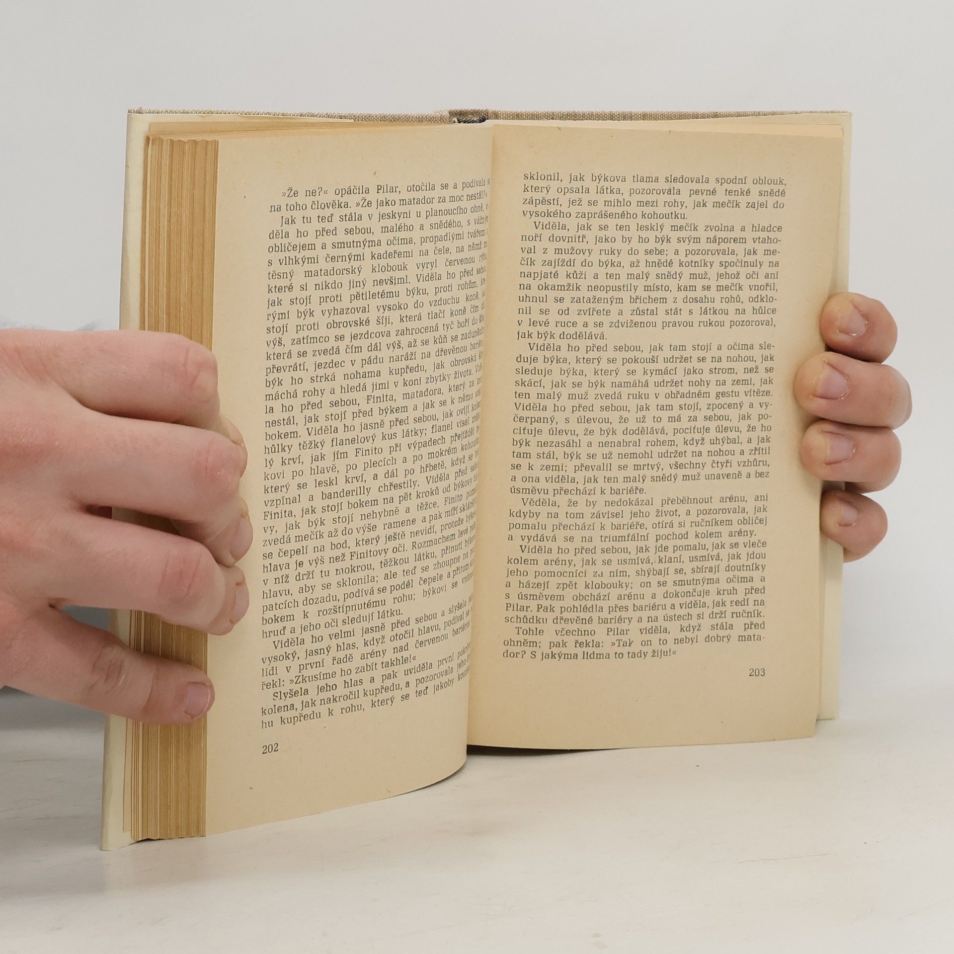 Ernest Hemingway Komu zvoní hrana