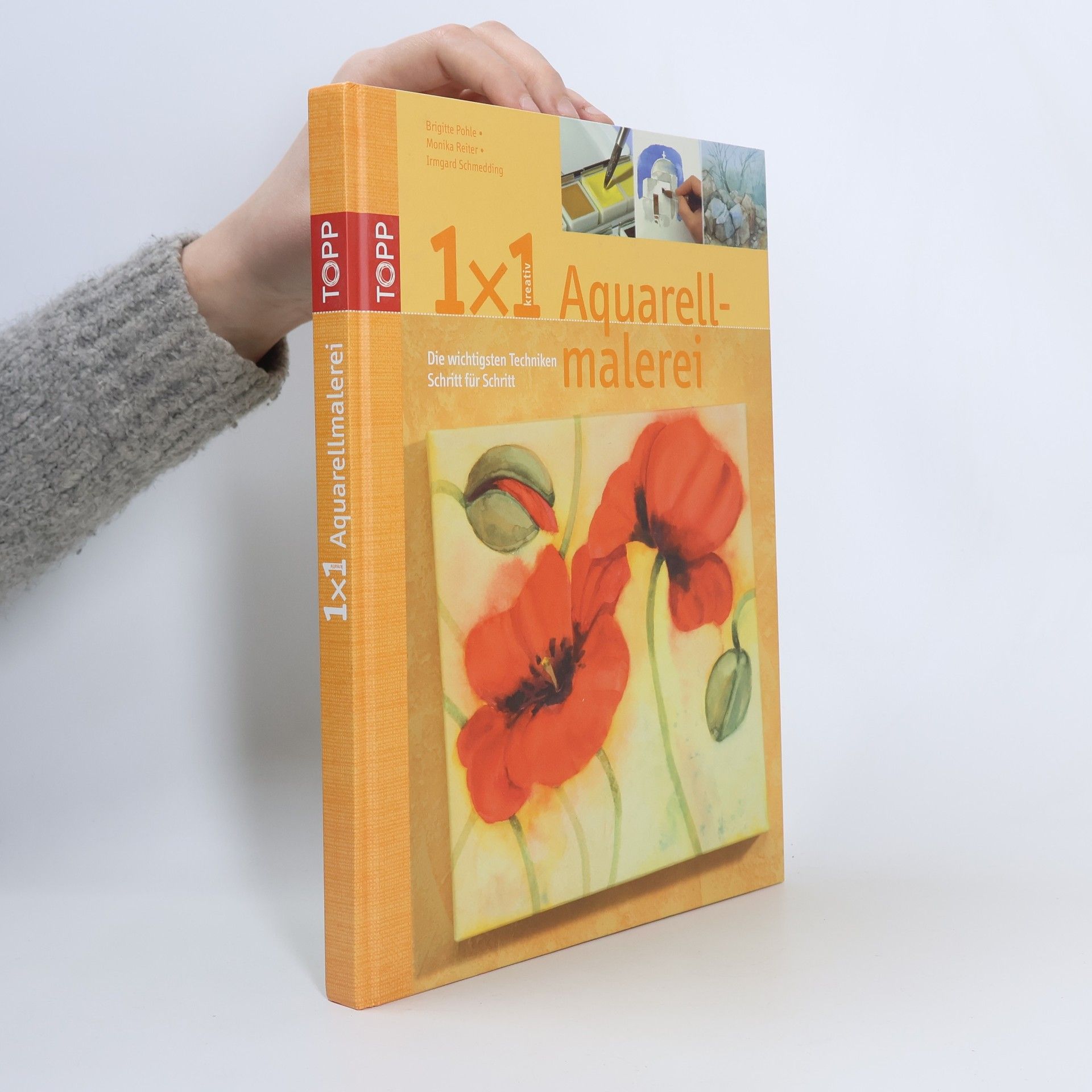 Brigitte Pohle 1x1 kreativ Aquarellmalerei